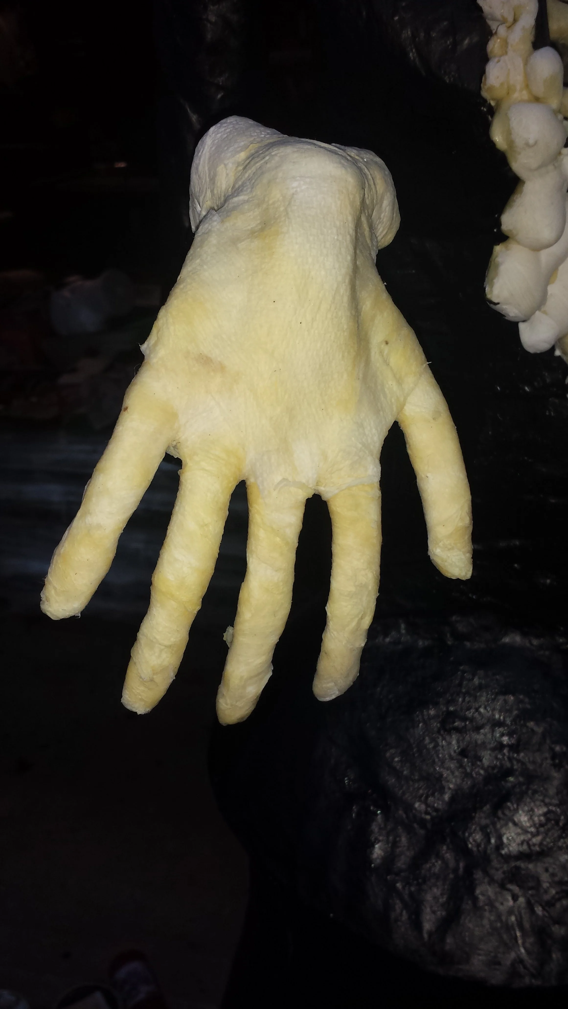 preoceso Catrina.jpeg