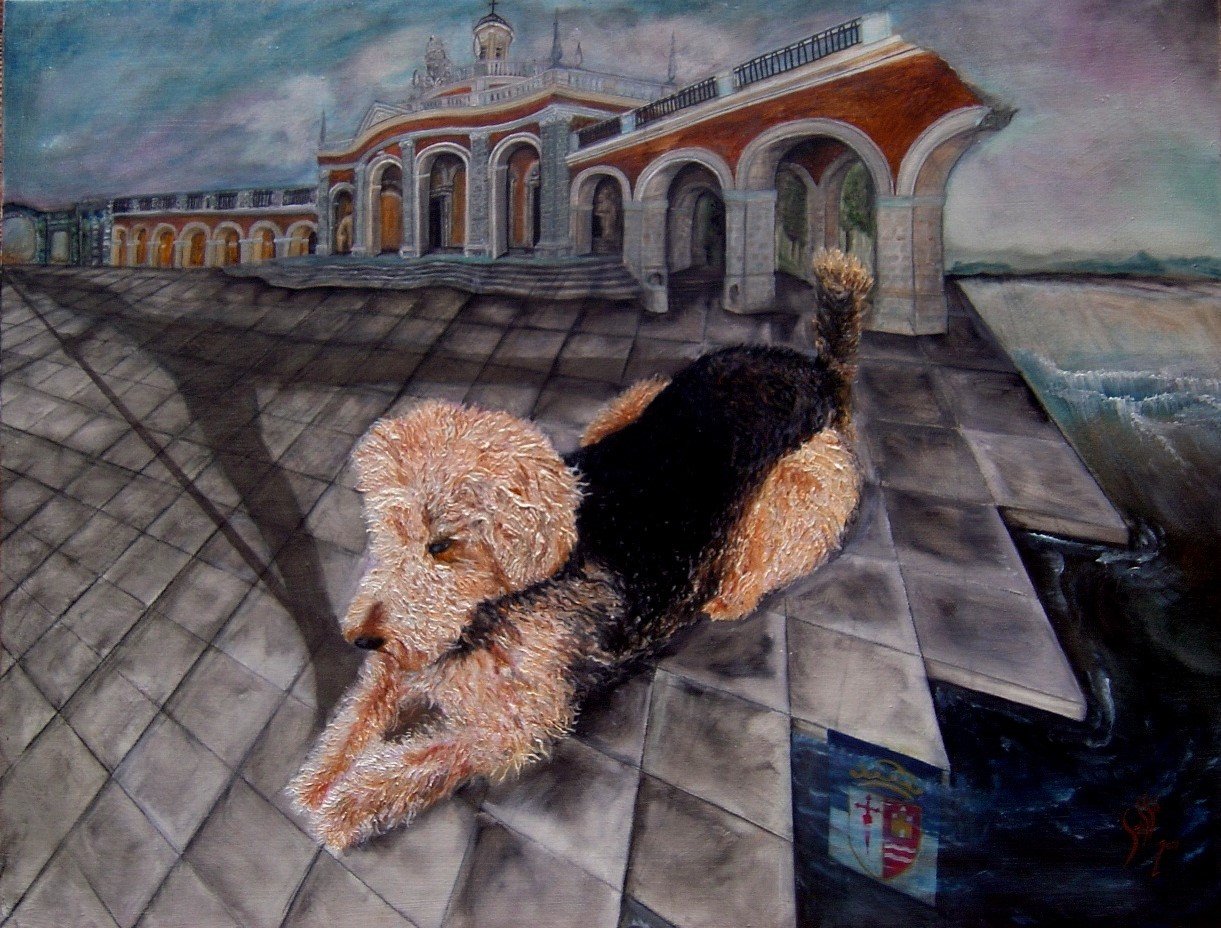 Pet Portraits