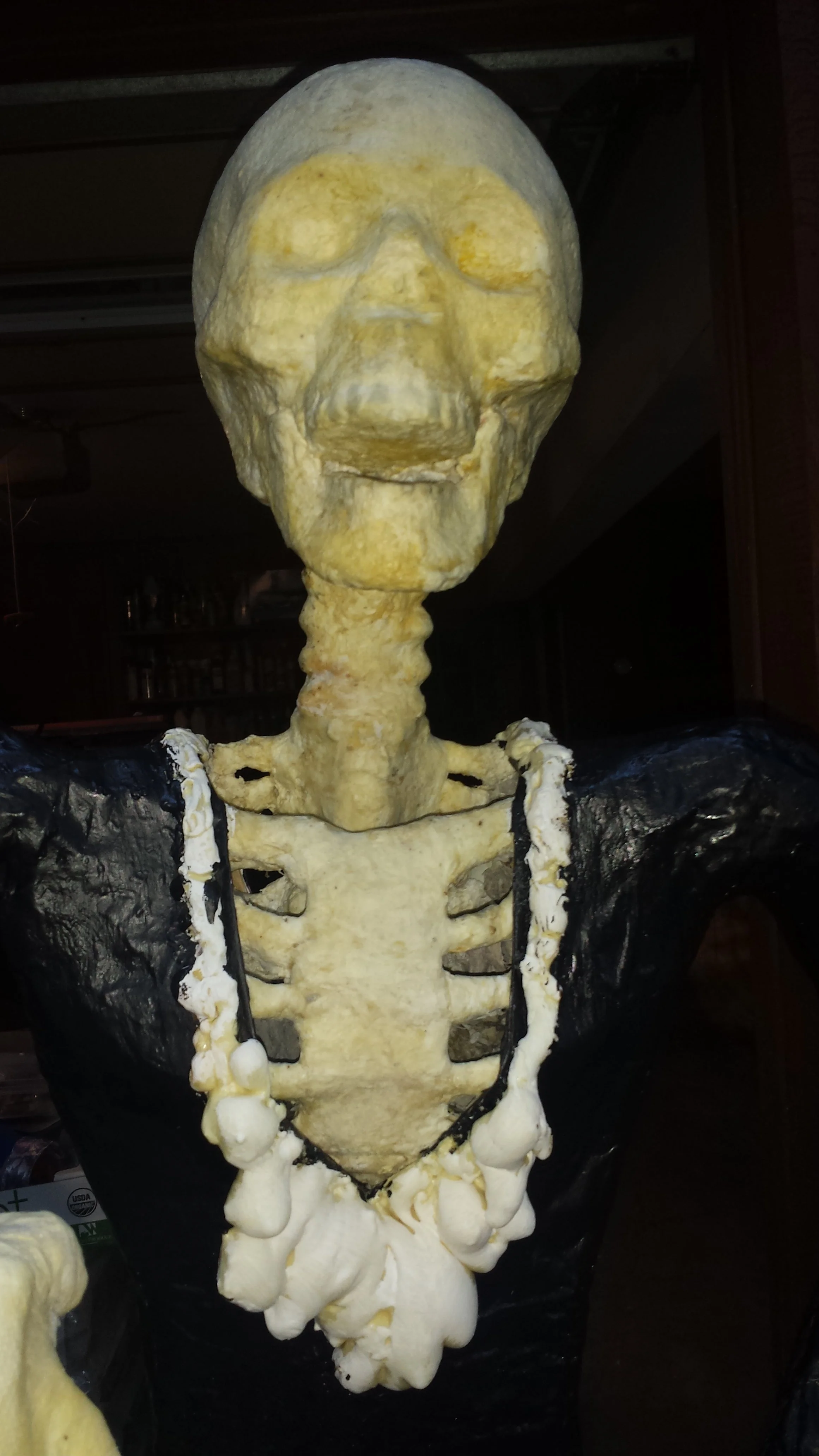 preoceso Catrina 1.jpeg