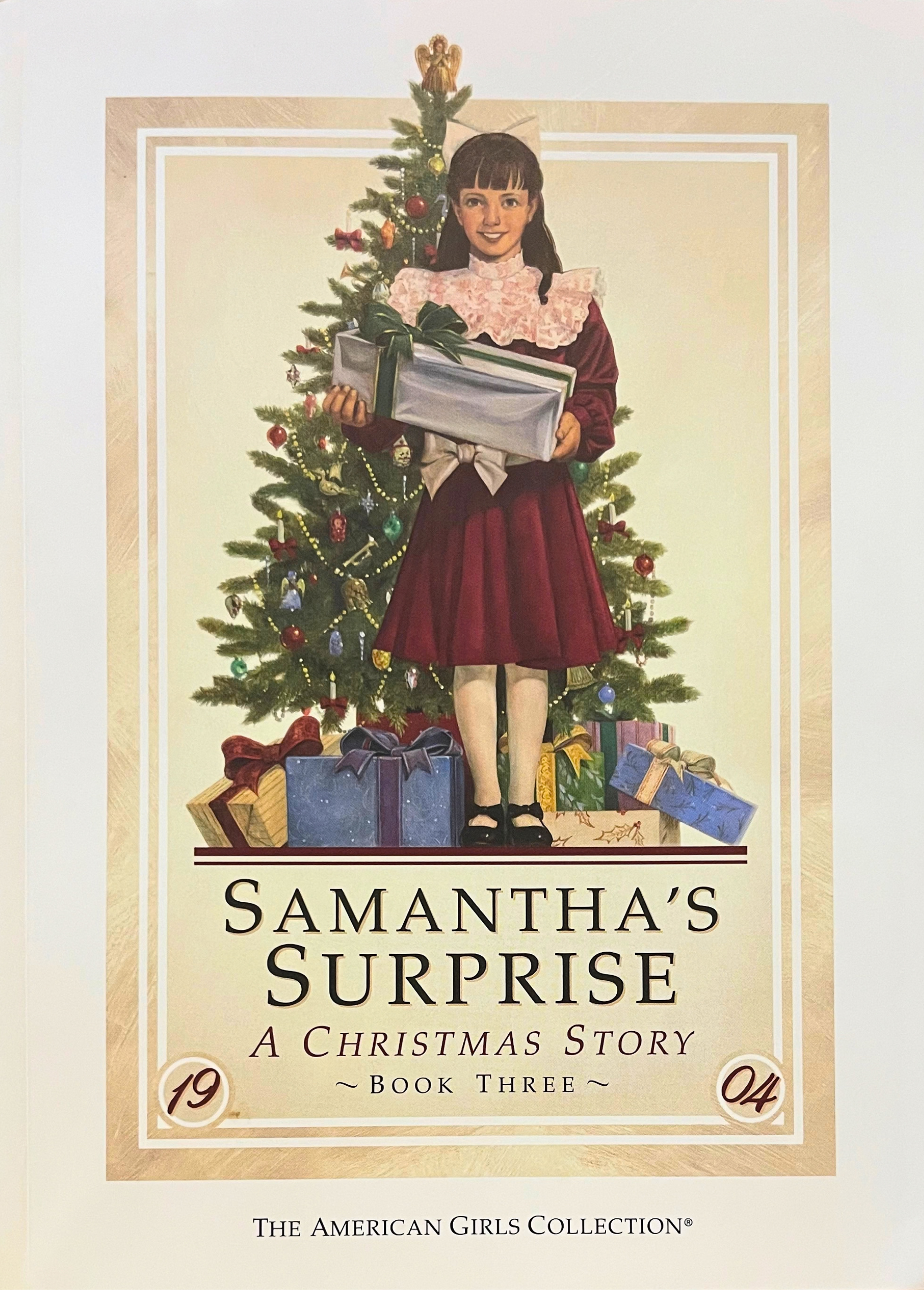 Samantha's Surprise cover, Dan Andreasen