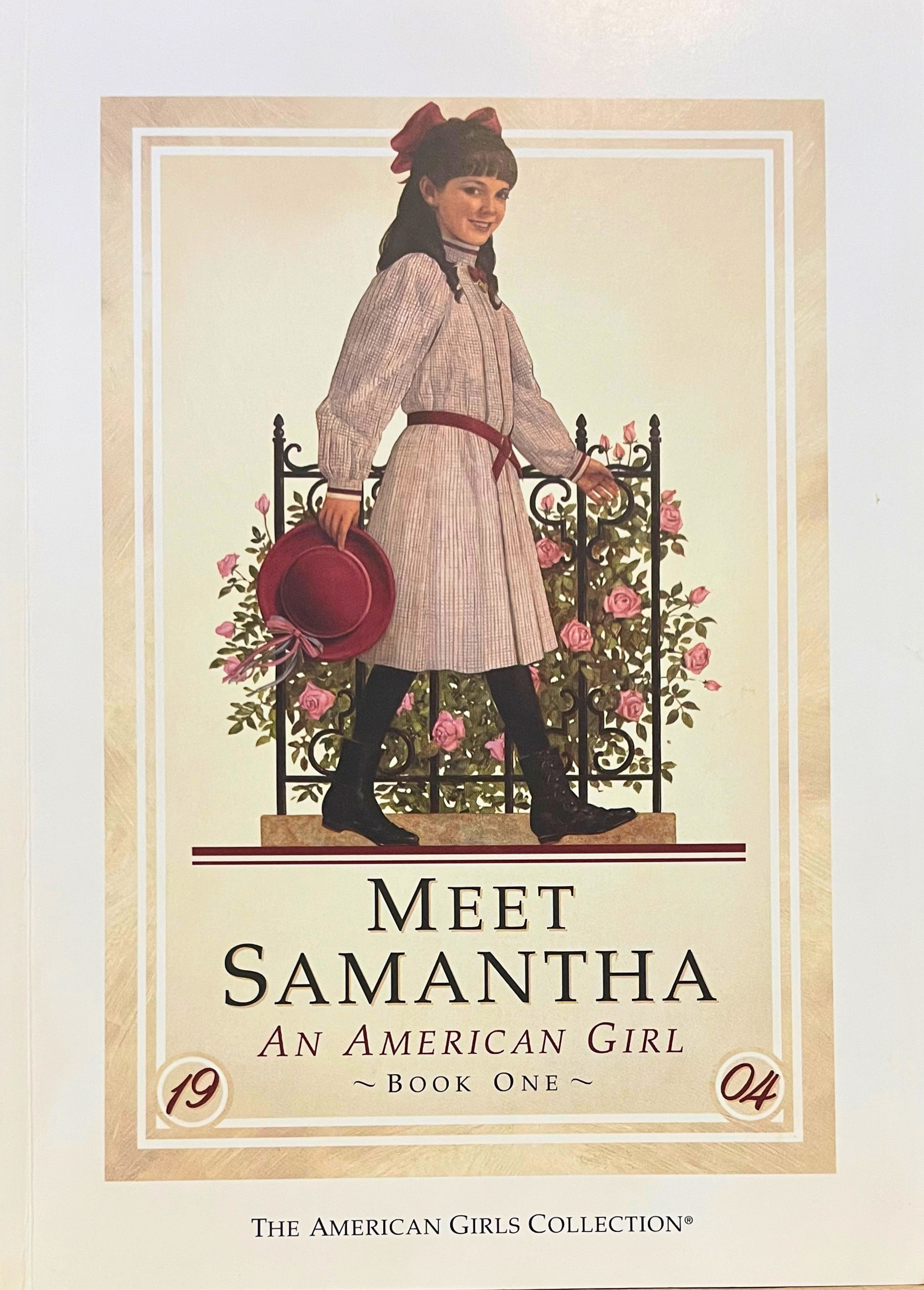 Meet Samantha cover, Dan Andreasen
