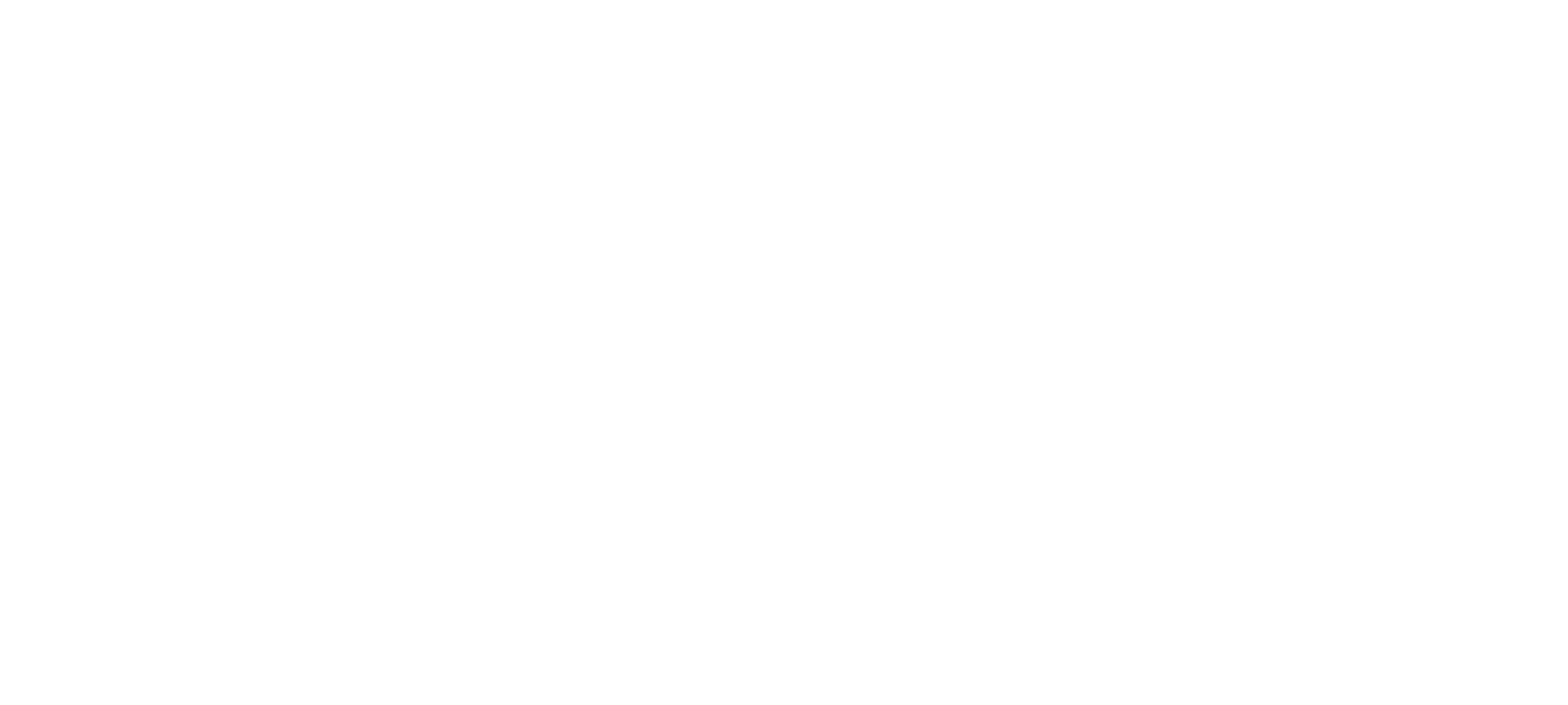 Boody Logo - Branding - EyeSavvy Brand Design Studio - Graphic Design