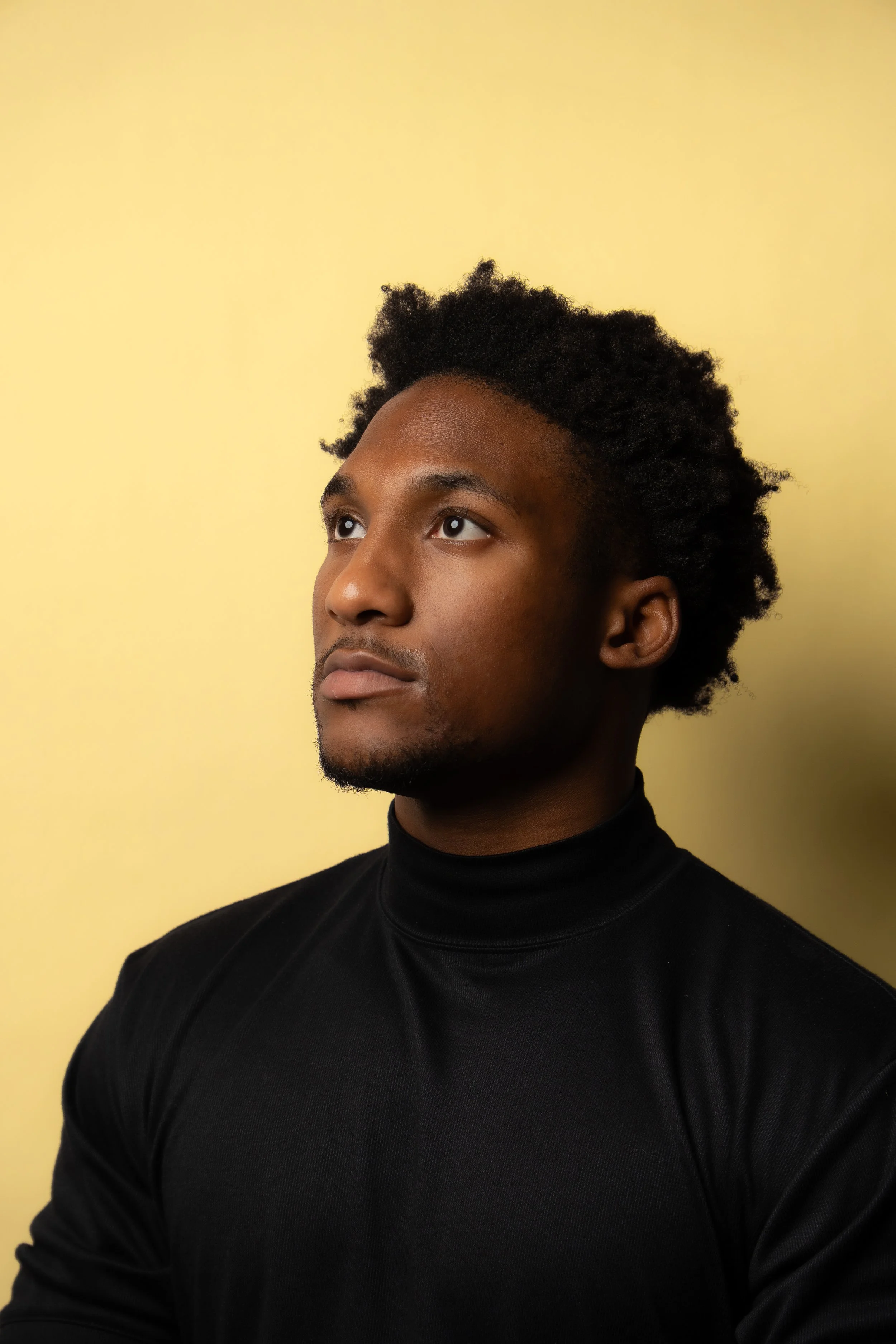 Copy of yellowback1.jpg