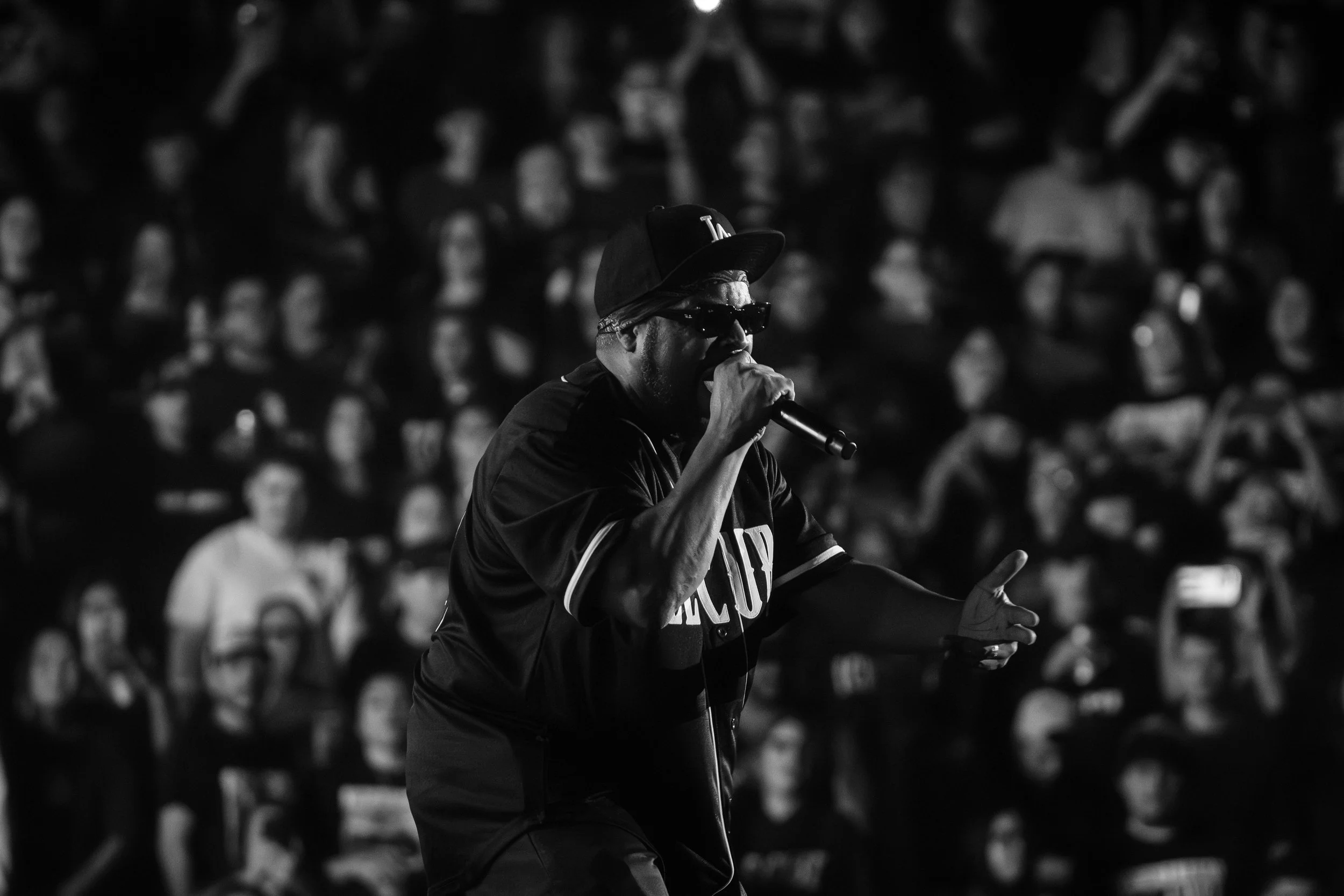 Copy of DSC09211-3.jpg