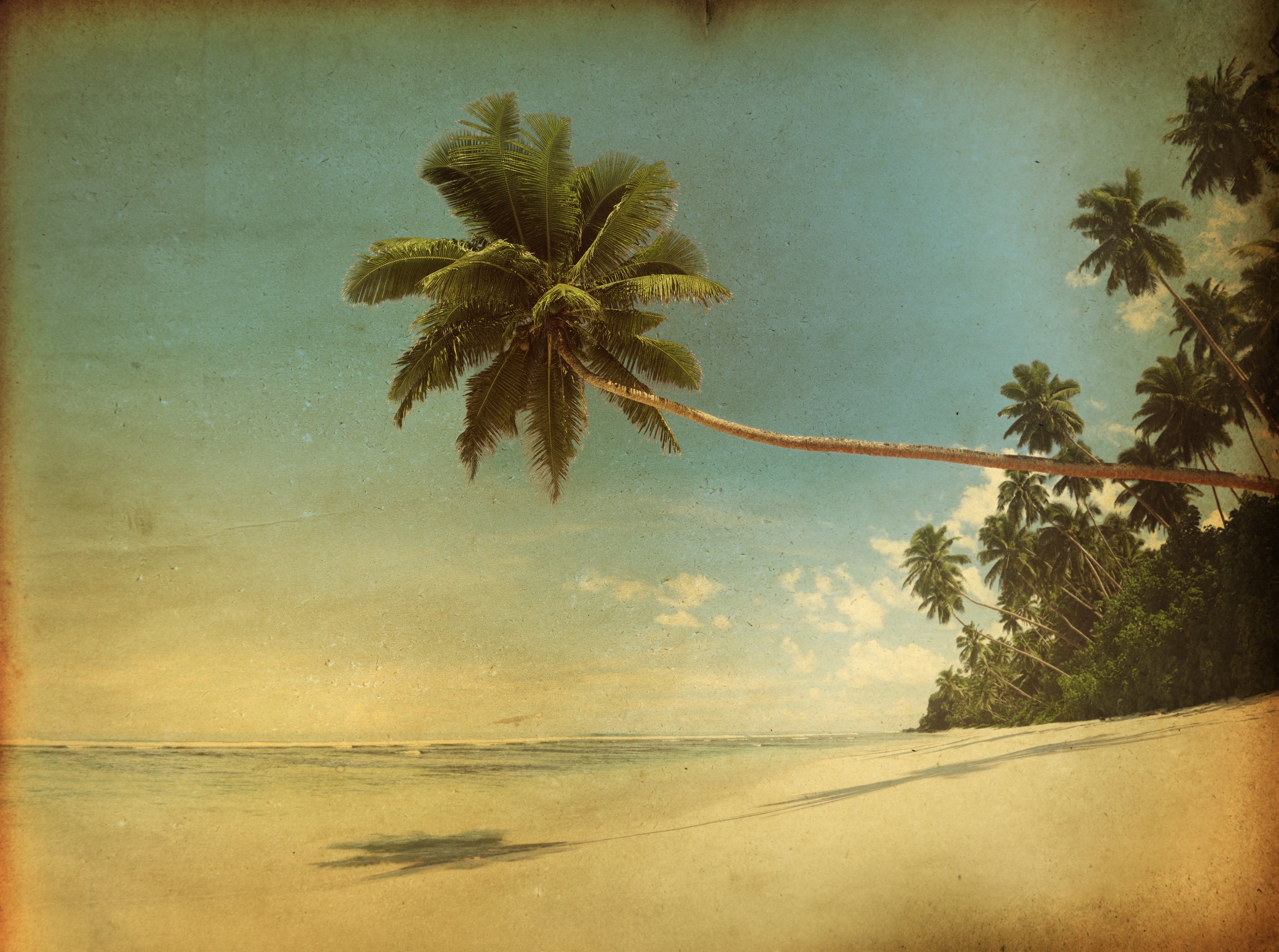 Pride of the Windward Side Pre-Season Volleyball Tournament