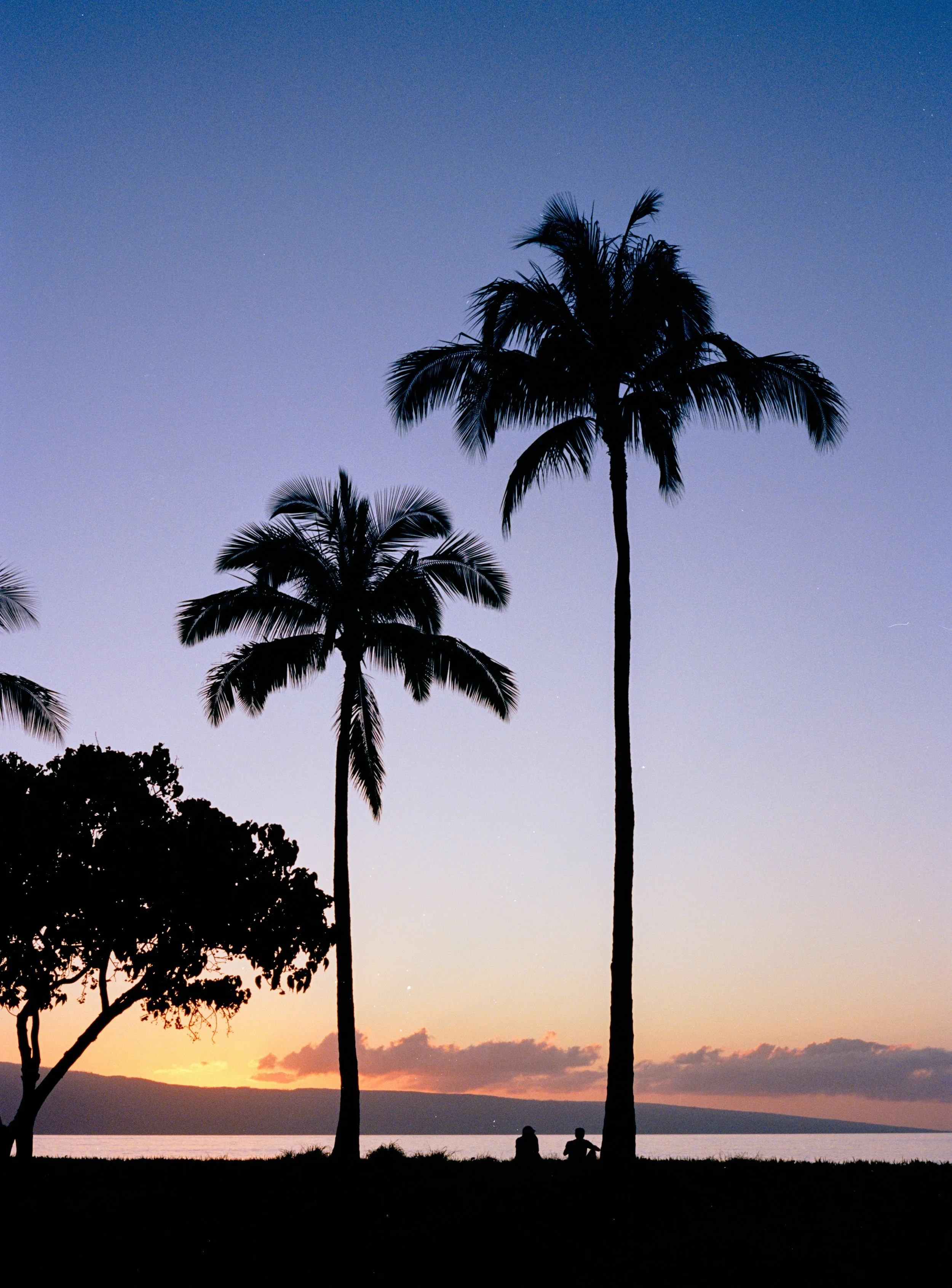 HAWAII - VARSITY ONLY PLAYER Registration