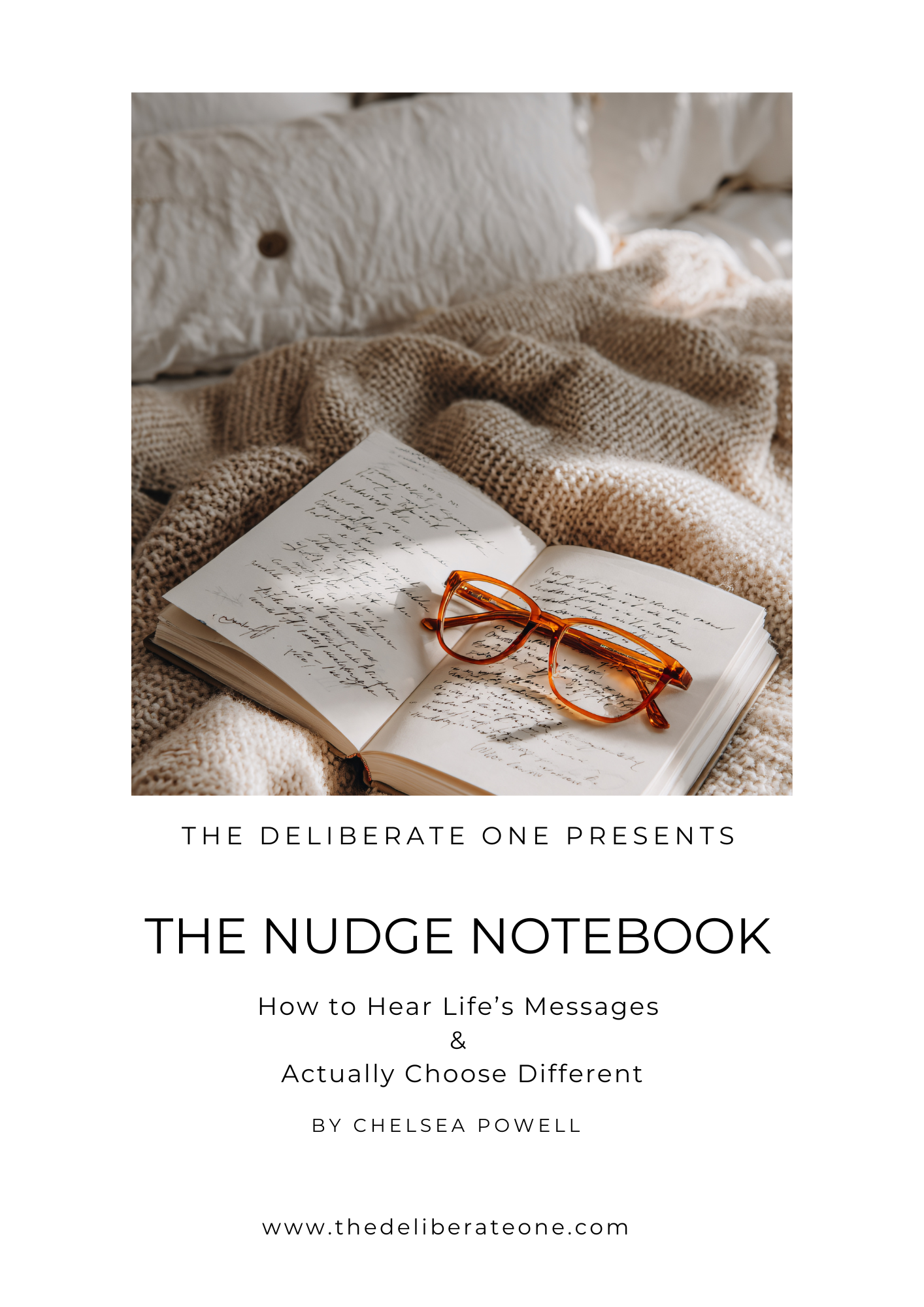 THE NUDGE NOTEBOOK.png