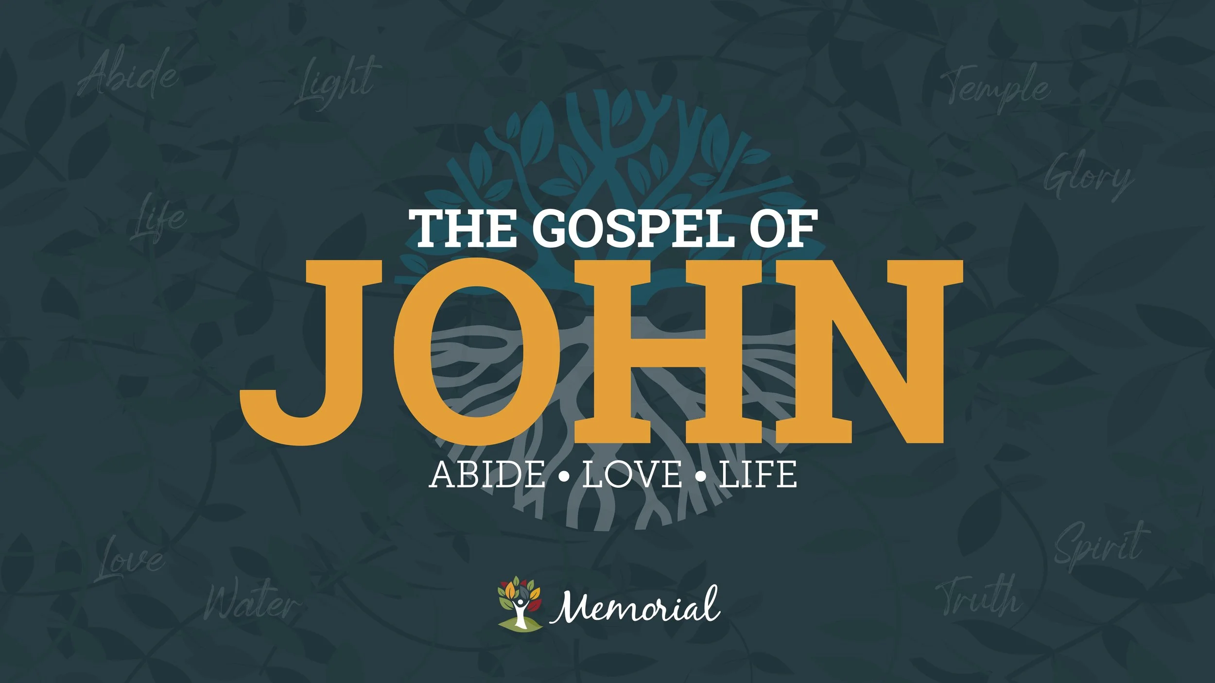 The Gospel of John HD.jpg