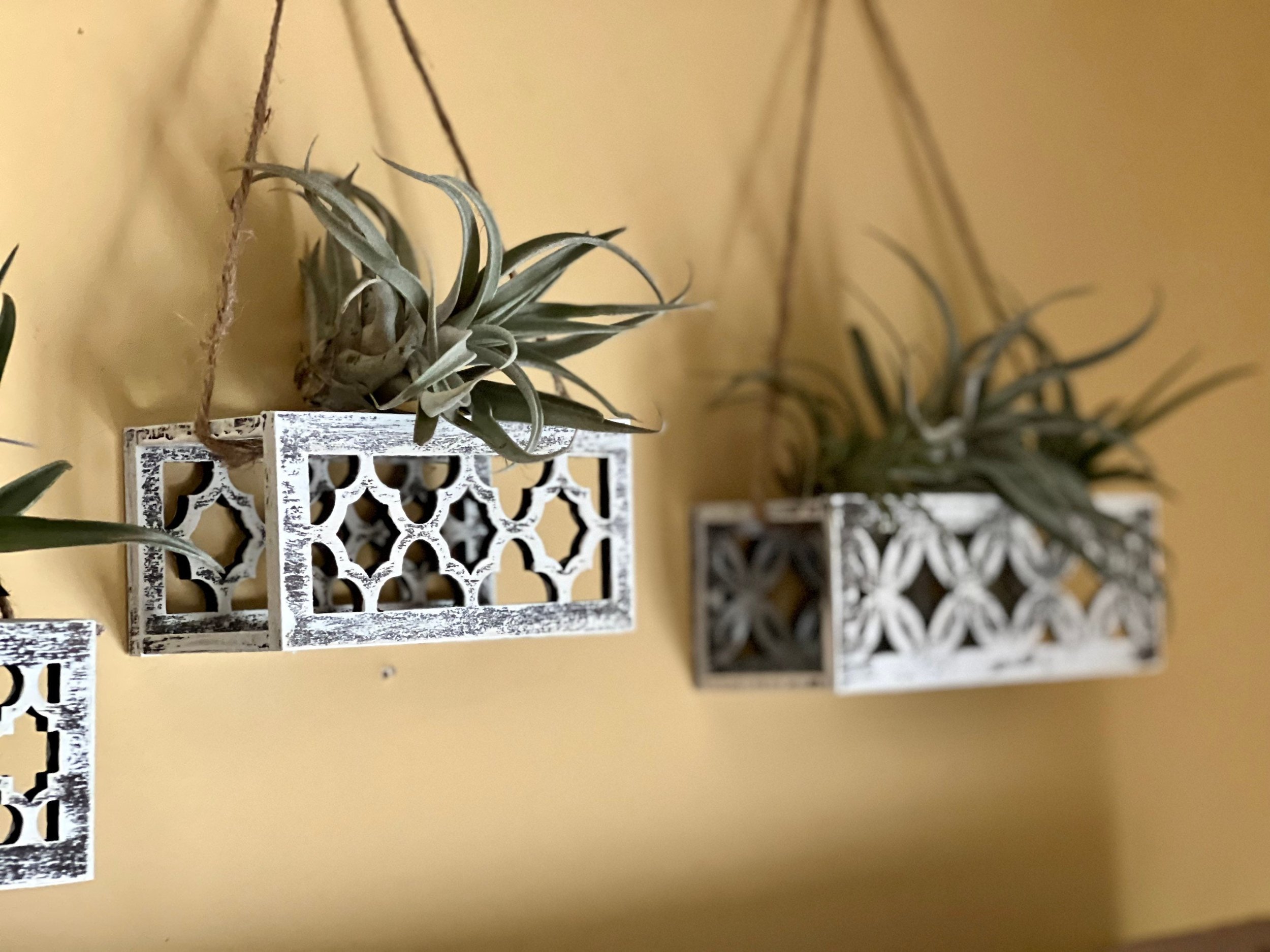 https://i.etsystatic.com/27111220/r/il/7e9303/3849497870/il_fullxfull.3849497870_hcfe.jpg