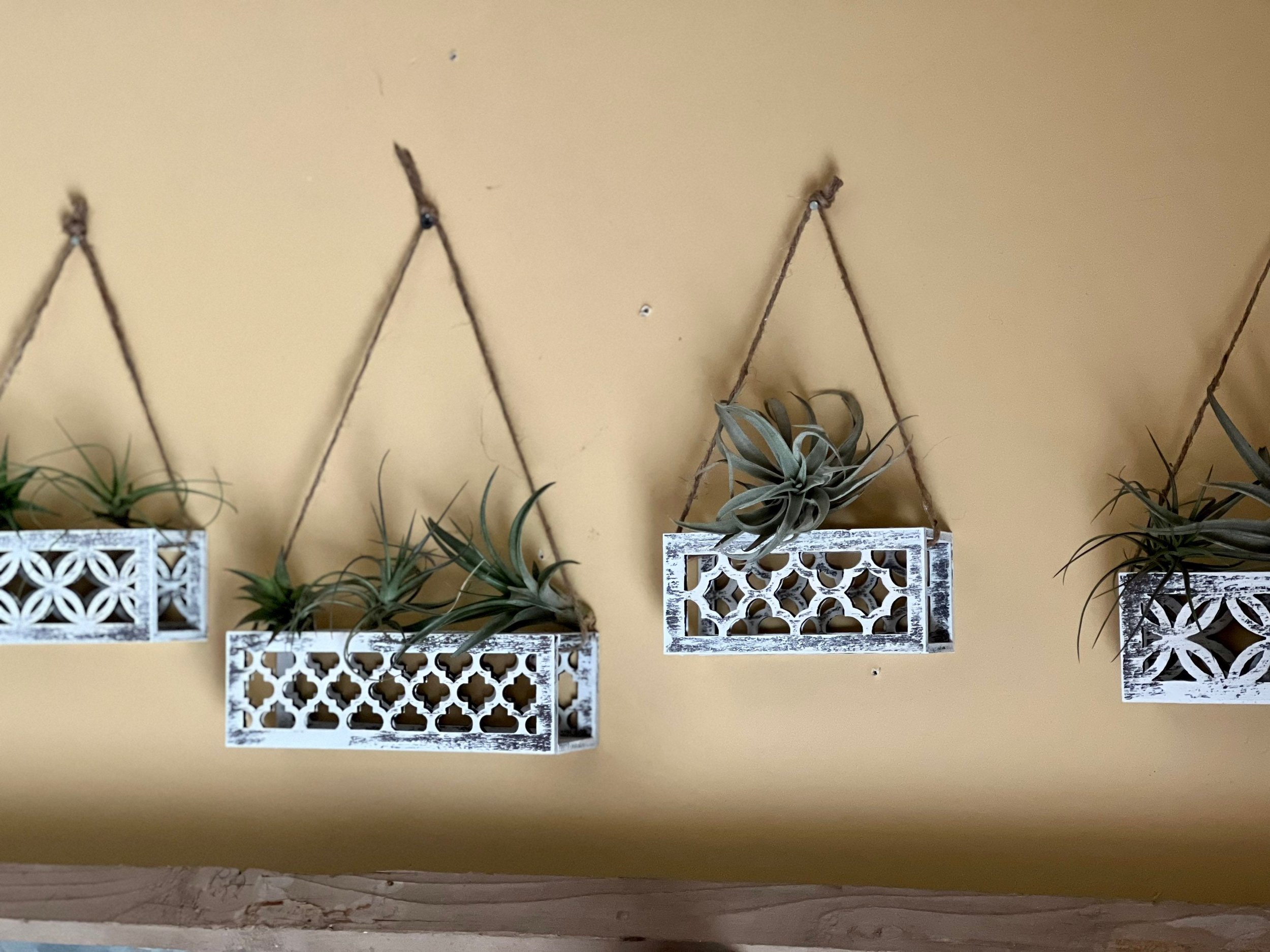 https://i.etsystatic.com/27111220/r/il/730f99/3896995149/il_fullxfull.3896995149_1h39.jpg