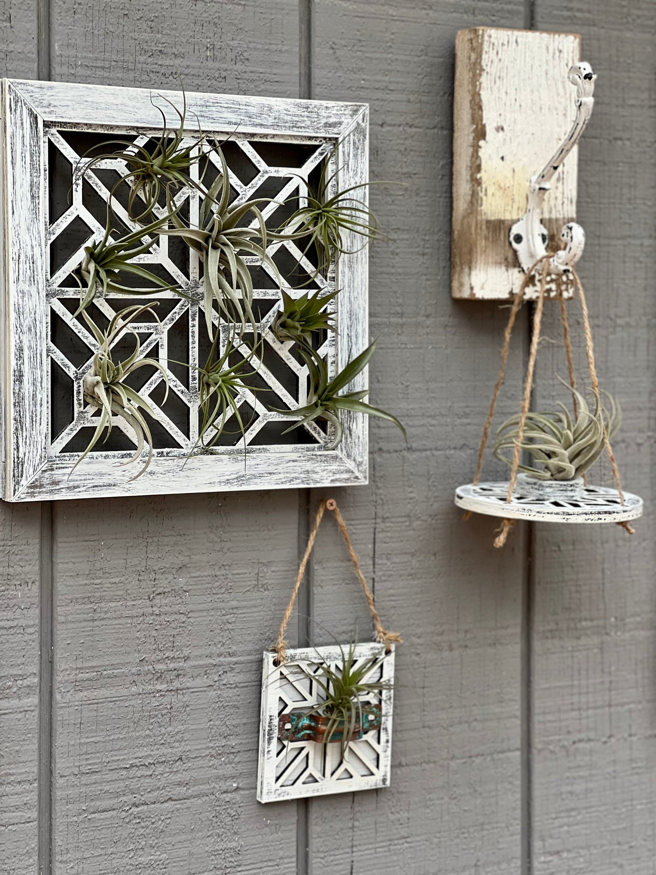 https://i.etsystatic.com/27111220/r/il/f23c2f/3839744404/il_fullxfull.3839744404_jqkz.jpg