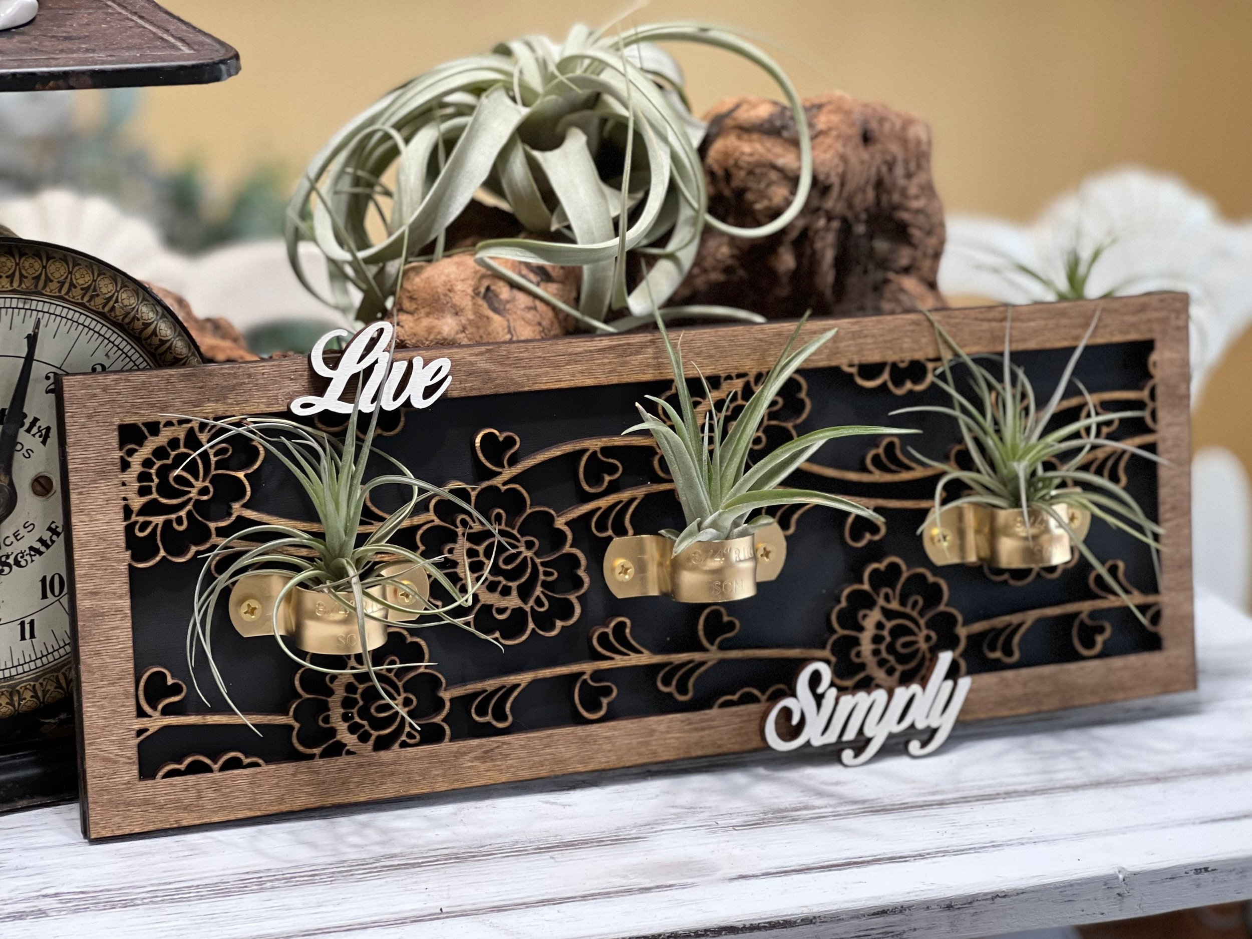 https://i.etsystatic.com/27111220/r/il/3ba096/3858651746/il_fullxfull.3858651746_mzp6.jpg