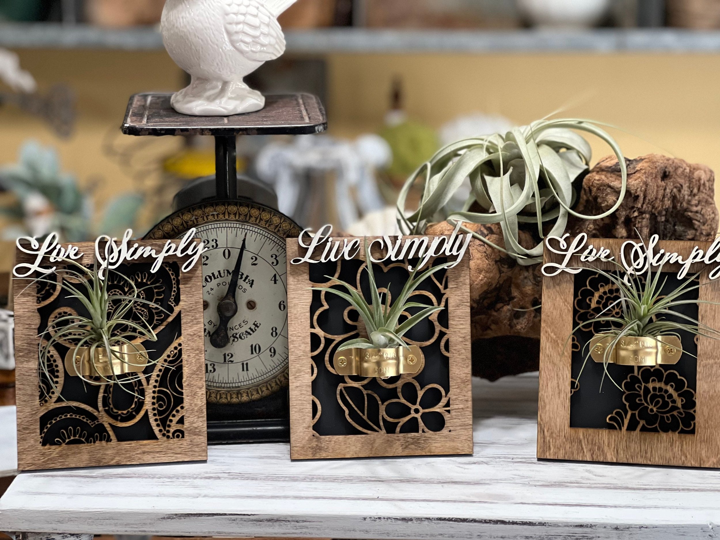 https://i.etsystatic.com/27111220/r/il/68fa59/3858651852/il_fullxfull.3858651852_nq2a.jpg