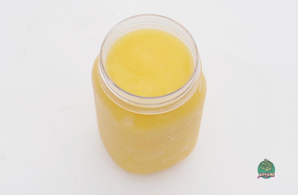 16oz_Mango_03.png
