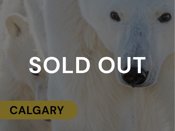 Calgary Polar Bear Tours 2026 Sold Out