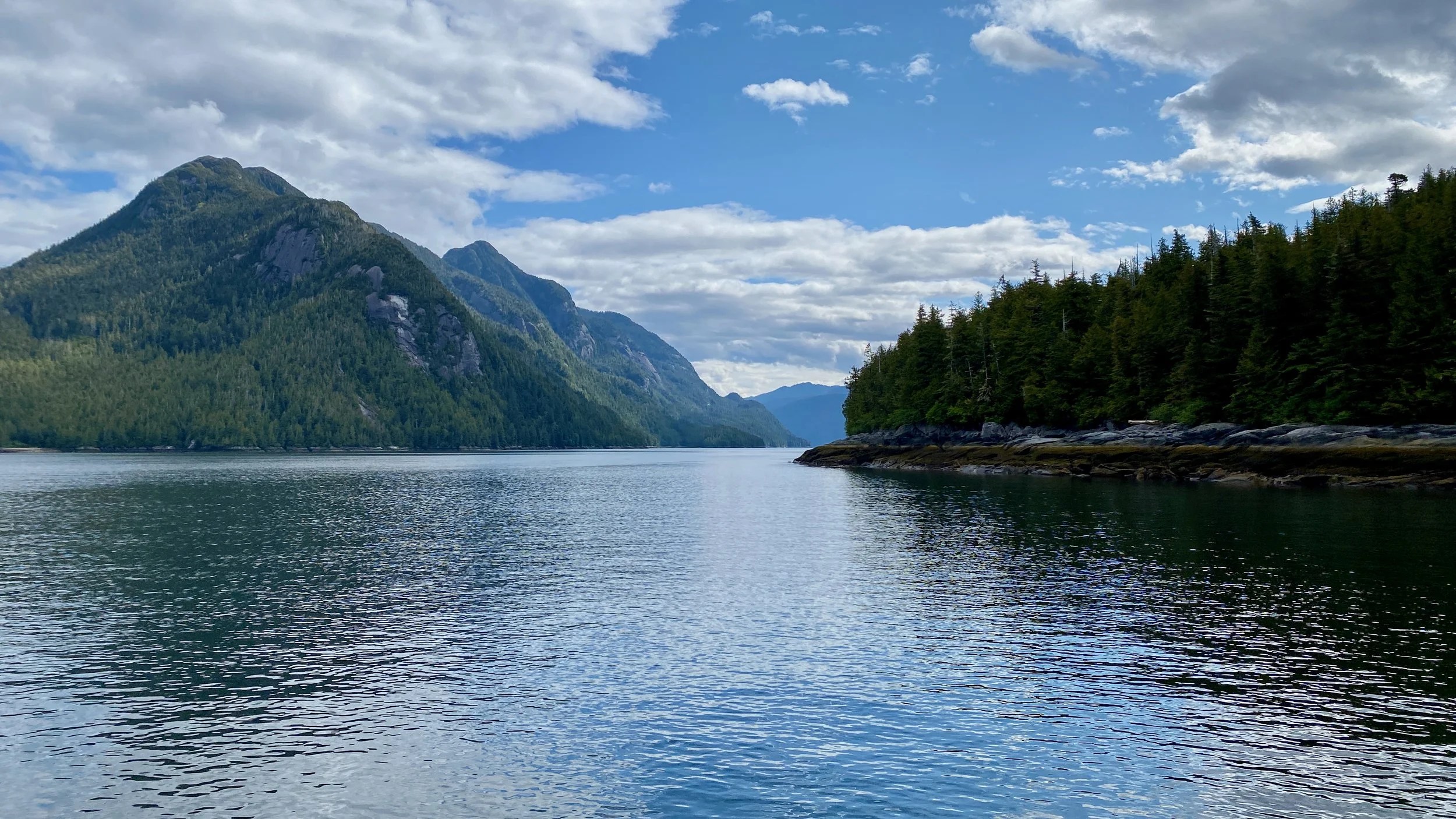 Steamer Passage.jpeg