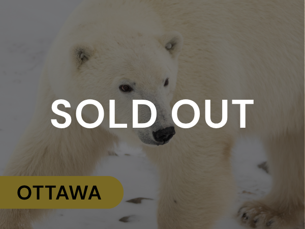 Ottawa Polar Bear Tours 2026 Sold Out