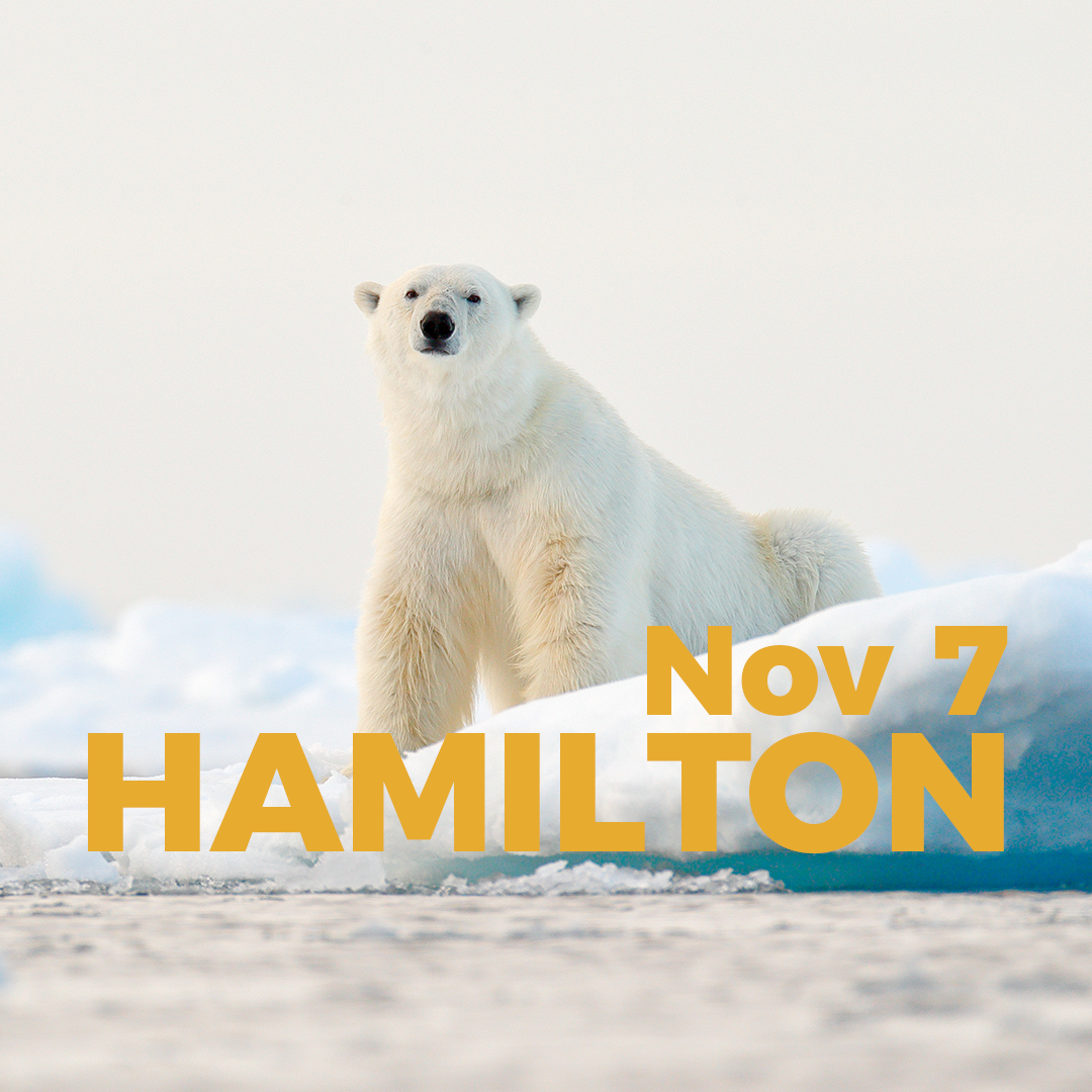 Product Image_PB Overlay_Hamilton_Nov 7.png