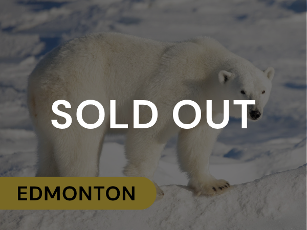 Edmonton Polar Bear Tours 2026 Sold Out