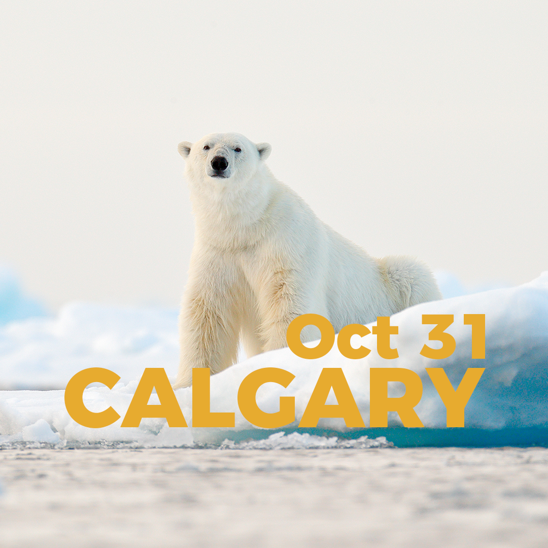 Product Image_PB Overlay_Calgary.png