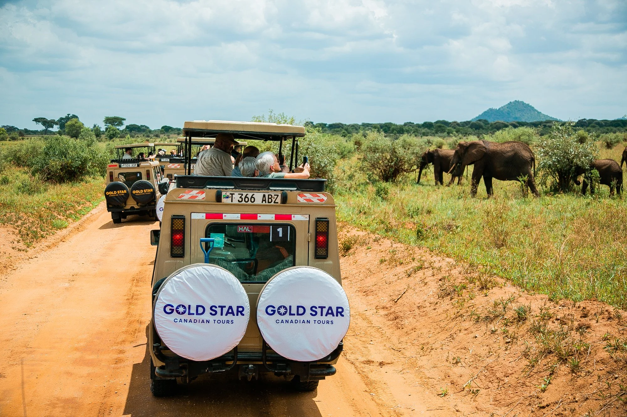 Multiple safari vehicles with tourists observing elephants in the wild, traveling along a dirt road through a grassy savanna landscape with scattered trees and a mountain in the background.