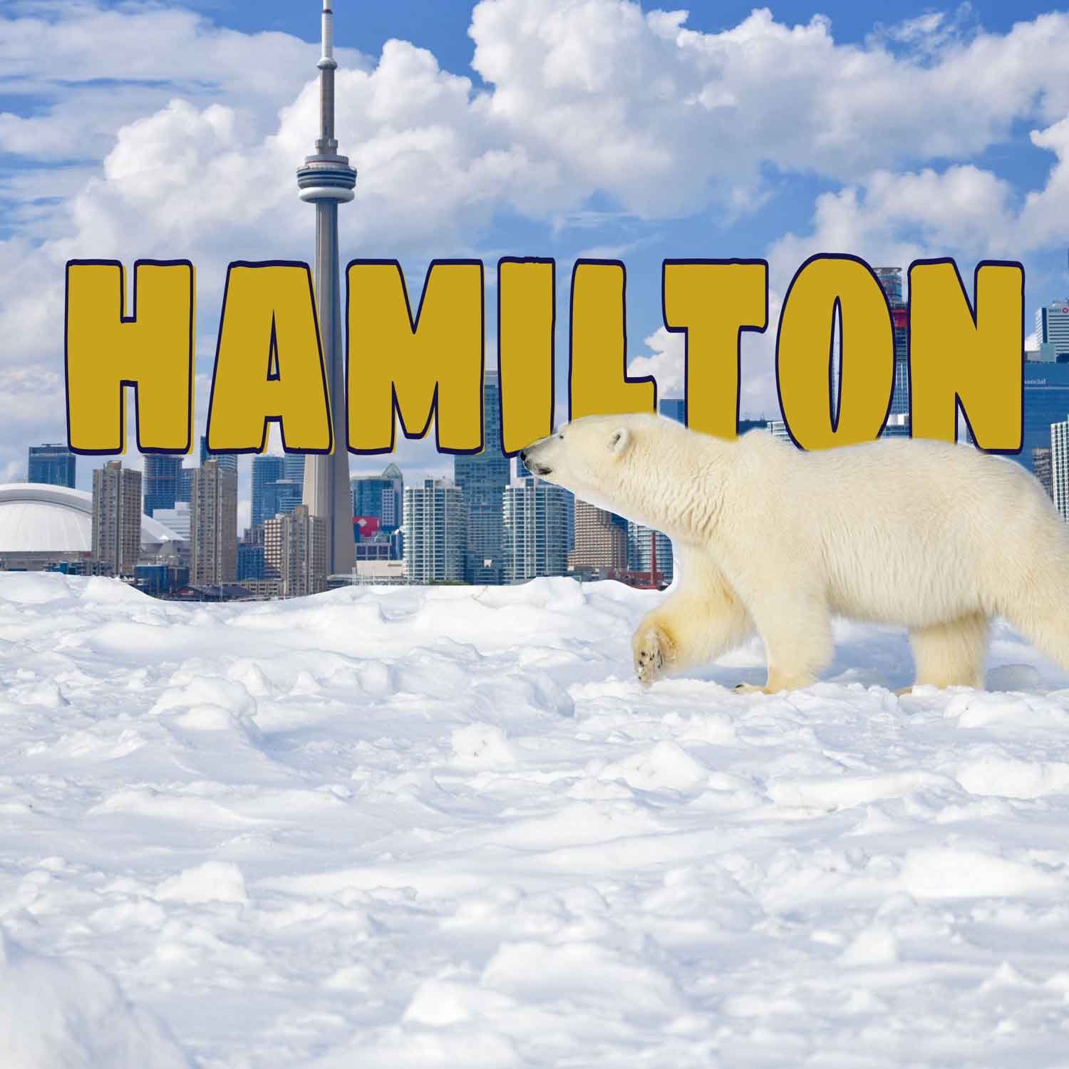 hamilton-polar-bear-tour.jpg