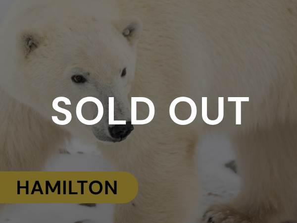 Hamilton Polar Bear Tours 2026 Sold Out