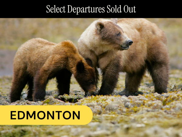 Edmonton Departures