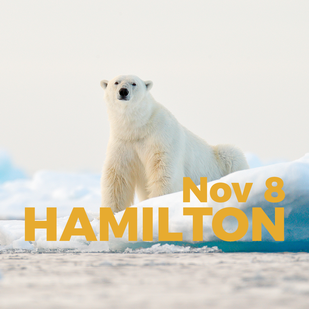Product Image_PB Overlay_Hamilton_Nov 8.png