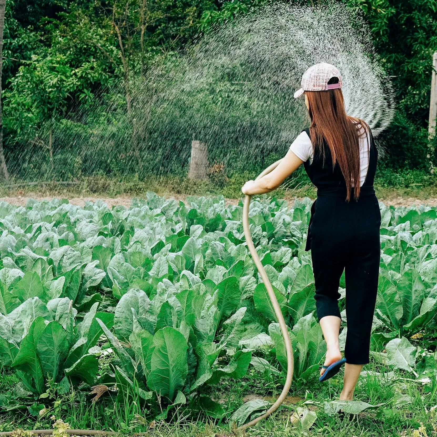 Sustaining Growth: Precision Repairs for Irrigation Pumps