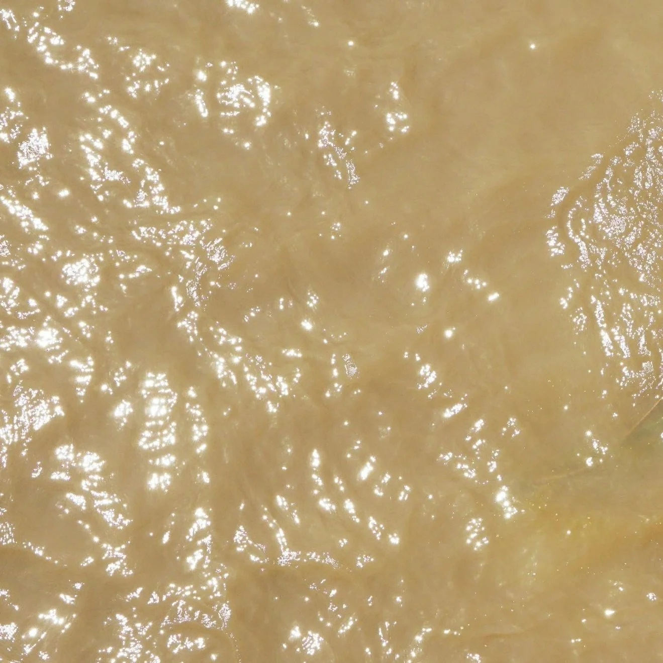 Maintaining Water Safety with Well Chlorination Treatments