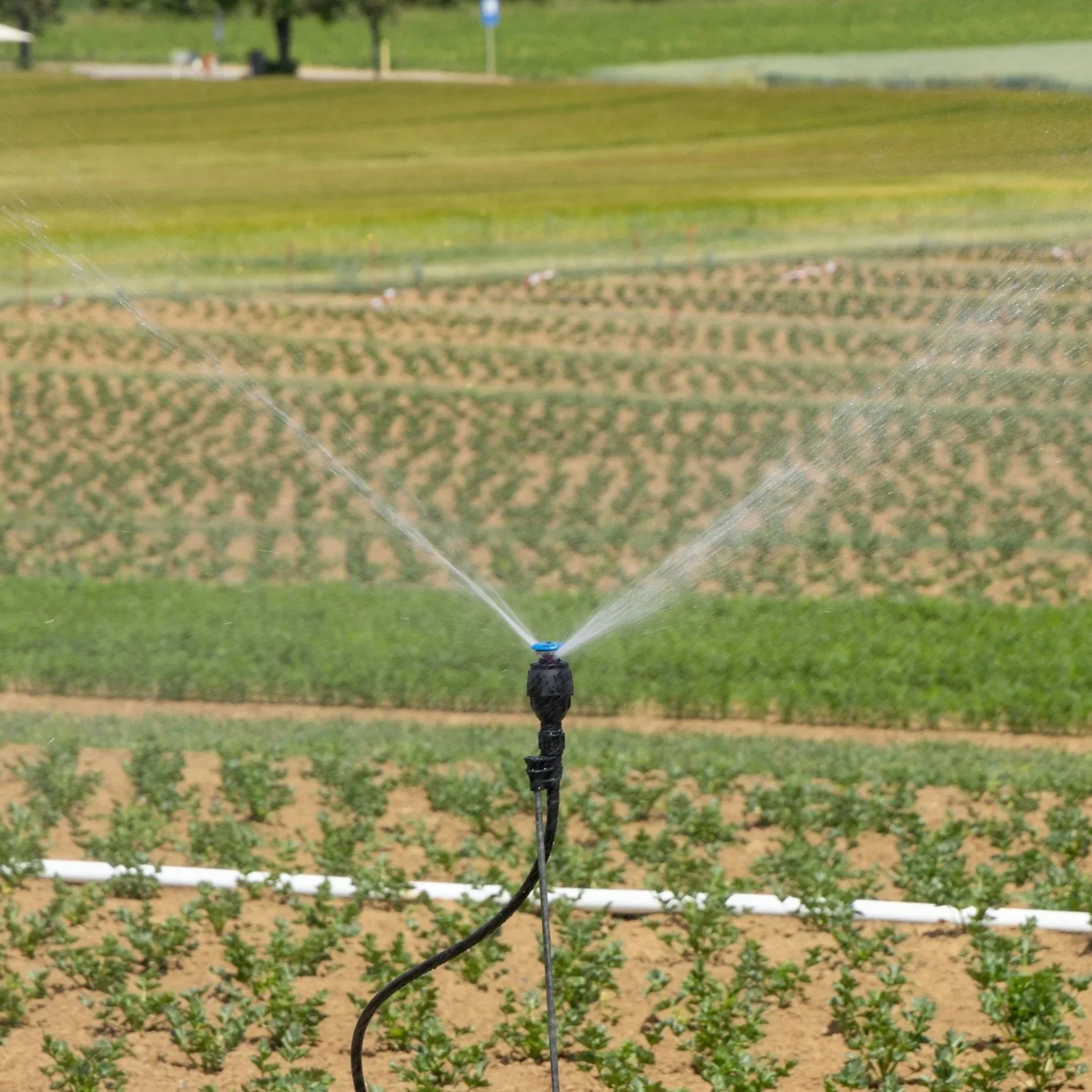 Maximizing Irrigation Efficiency with Quality Pump Maintenance