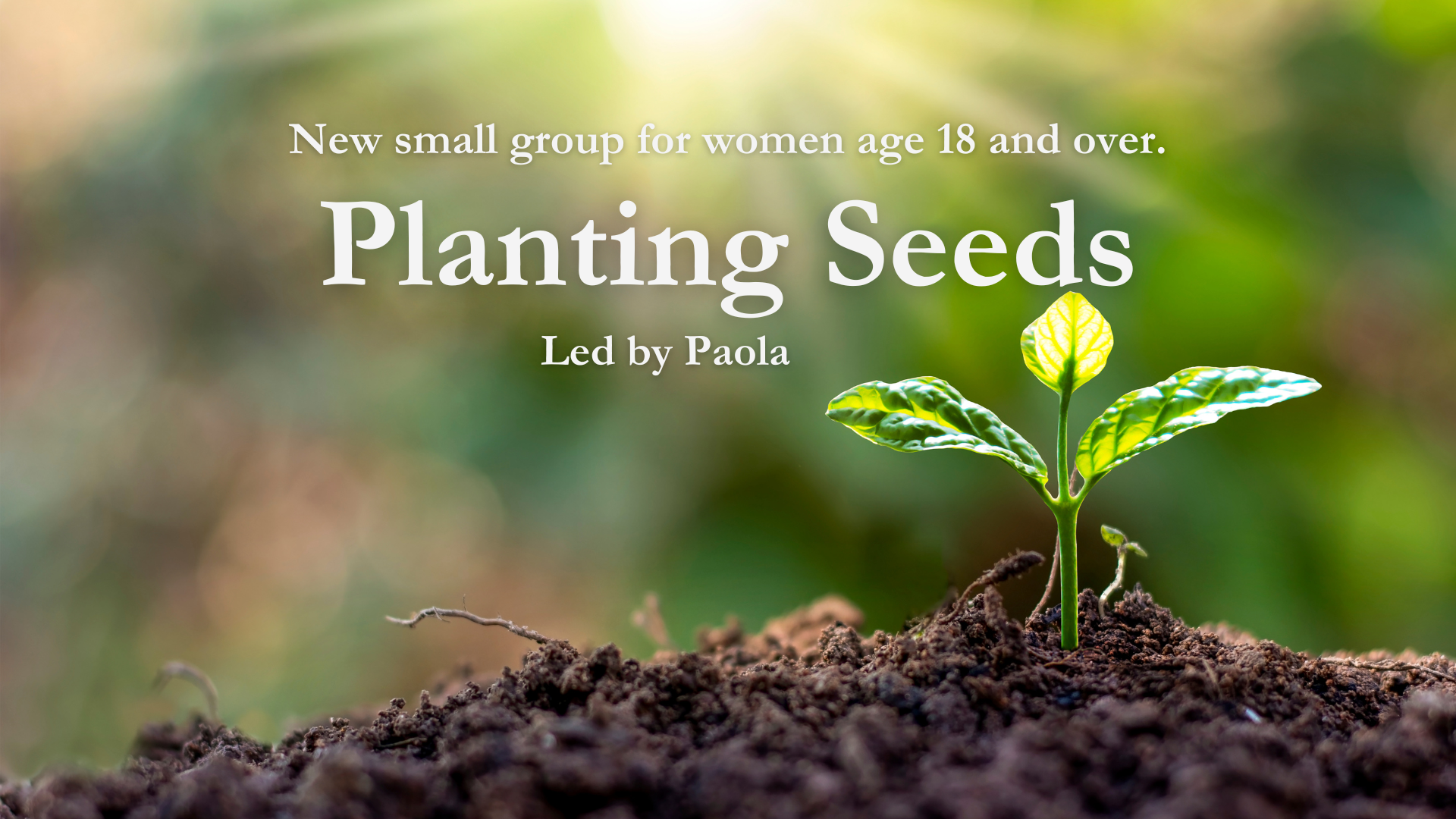 Planting Seeds