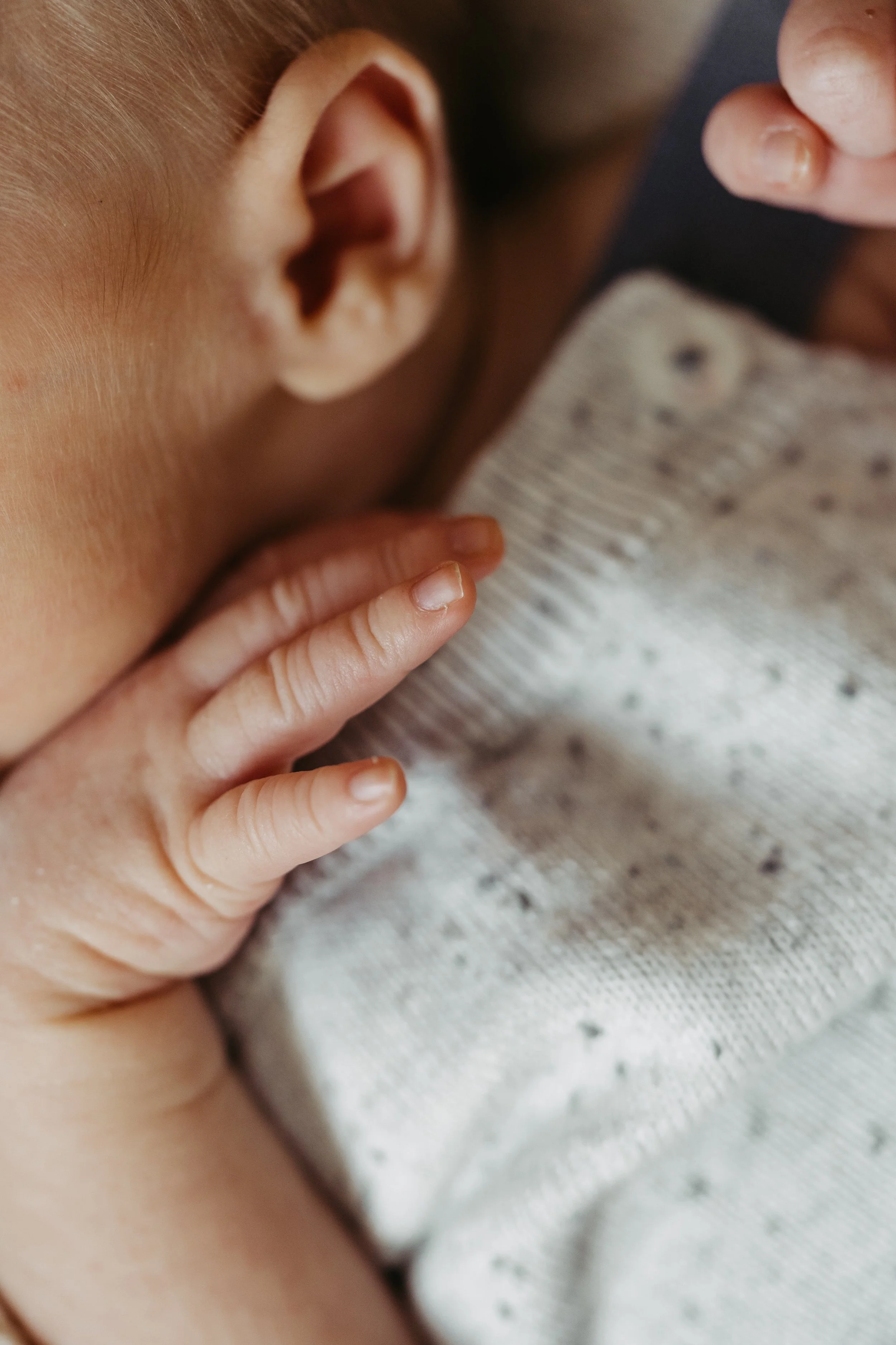 Neugeborenen Shooting München Studio Babyshooting Trudering Haar