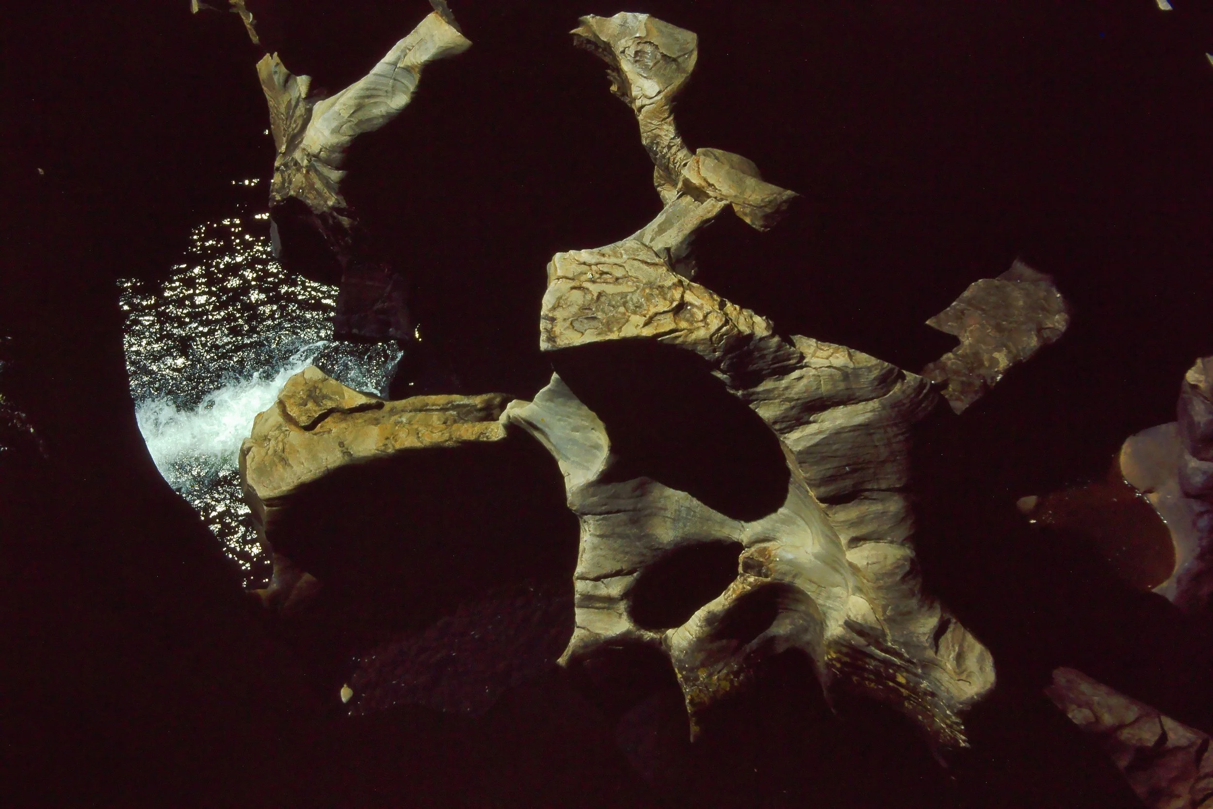 Some Nazi Doctors vs Some Canadian Doctors