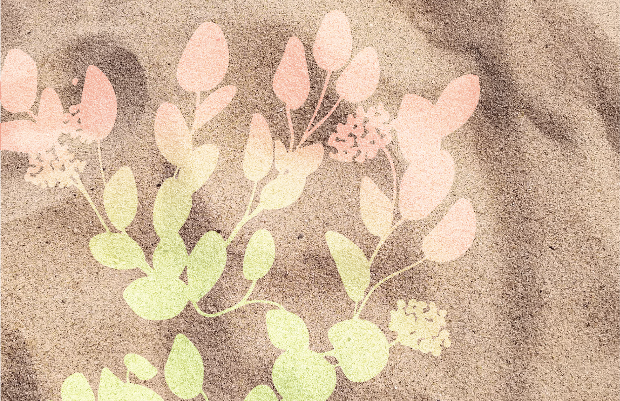 Dune Restoration Interpretive Sign