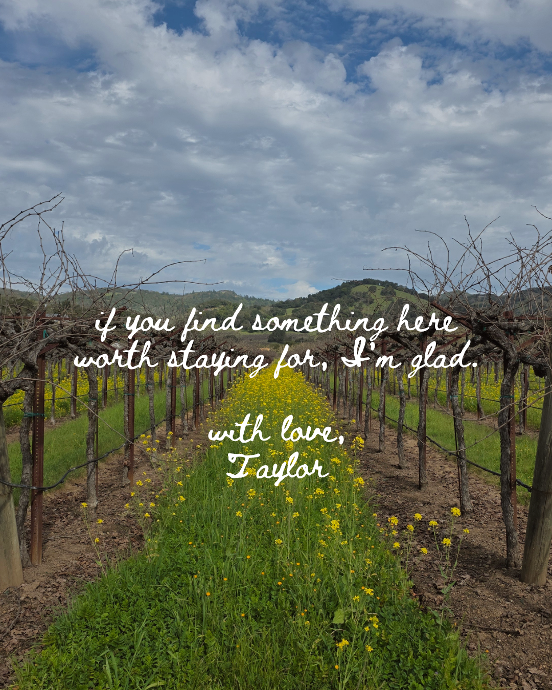 NFASH - Intro - 7.png