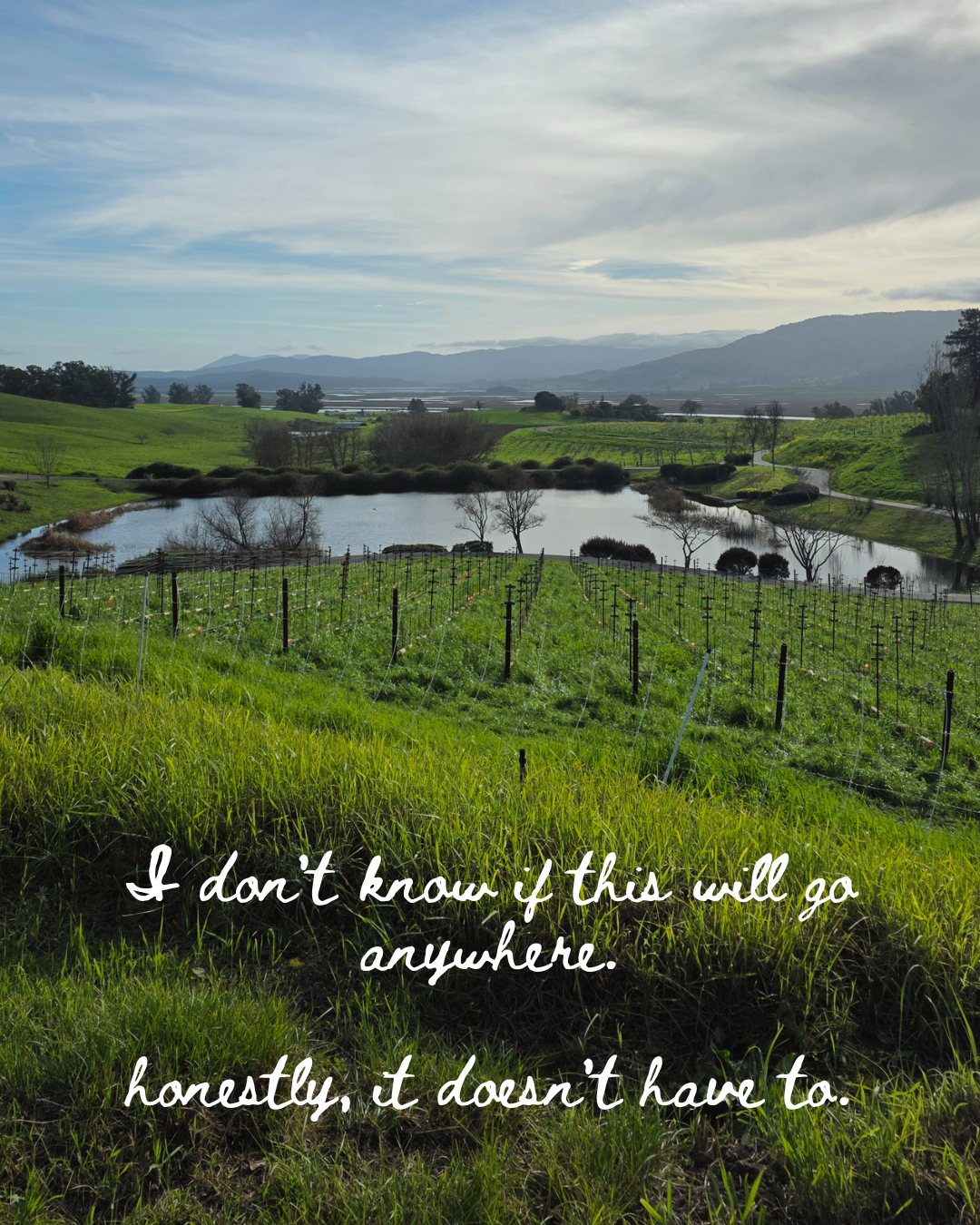 NFASH - Intro - 5.png