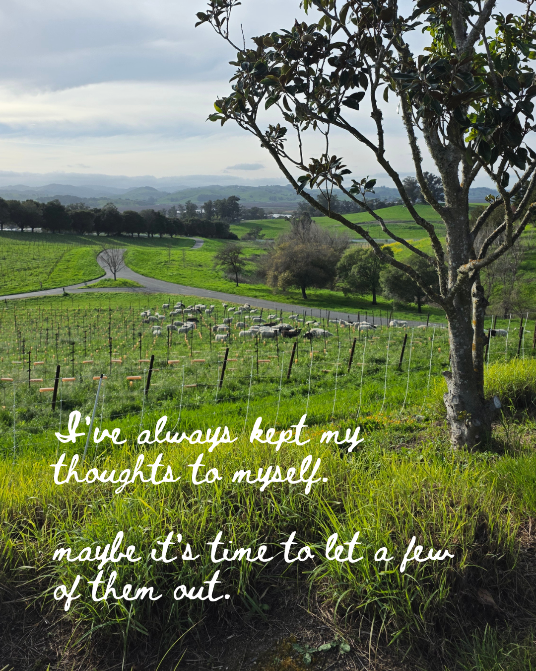 NFASH - Intro - 6.png