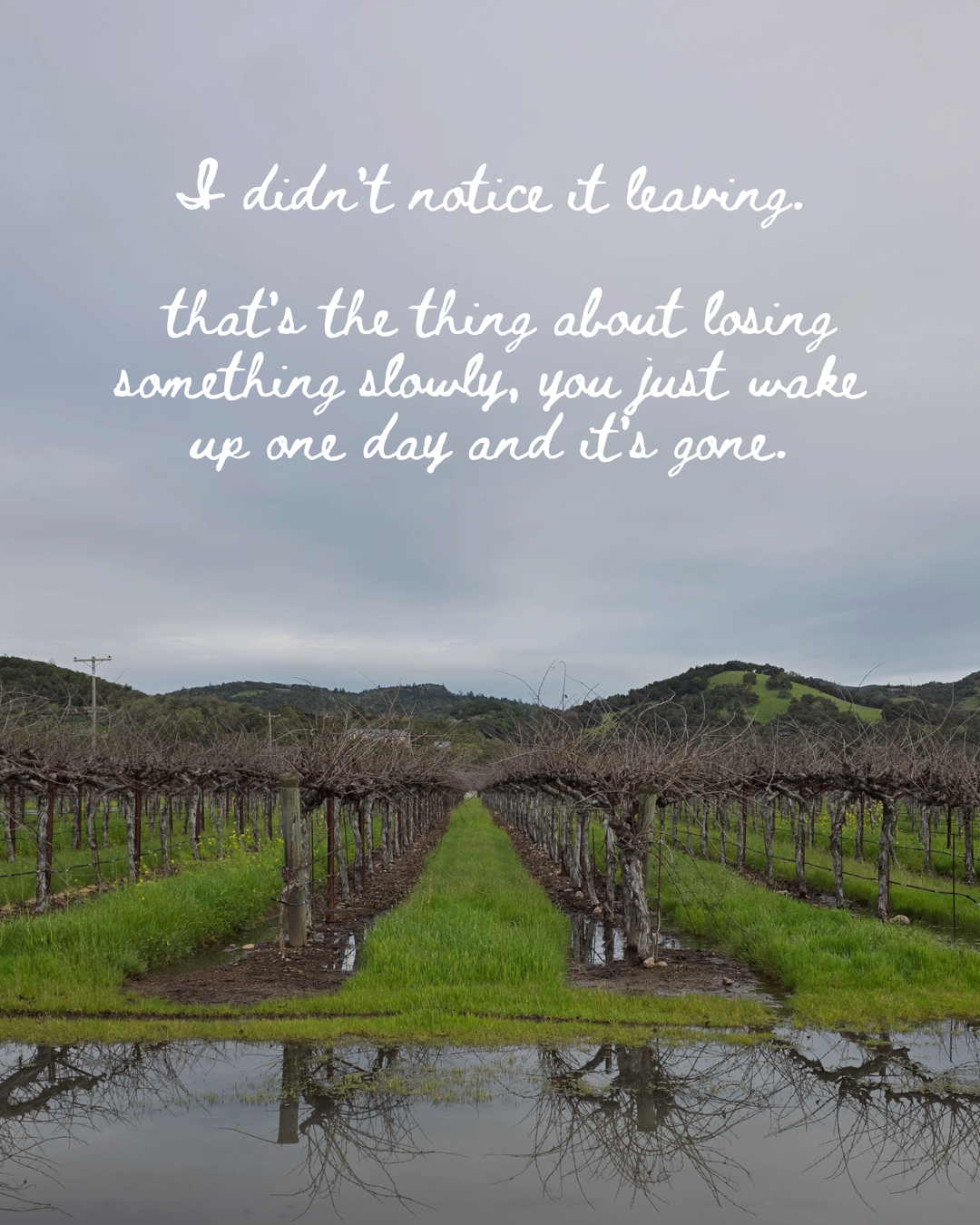 NFASH - Intro - 3.png