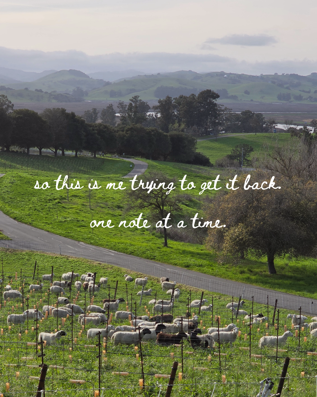 NFASH - Intro - 4.png