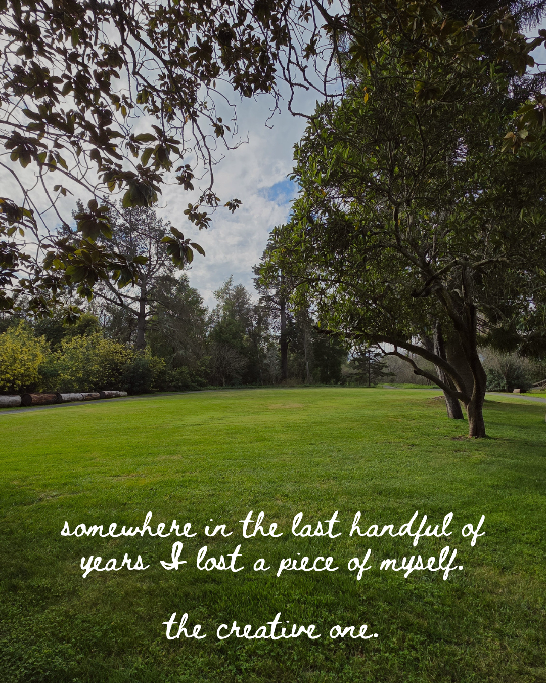 NFASH - Intro - 2.png