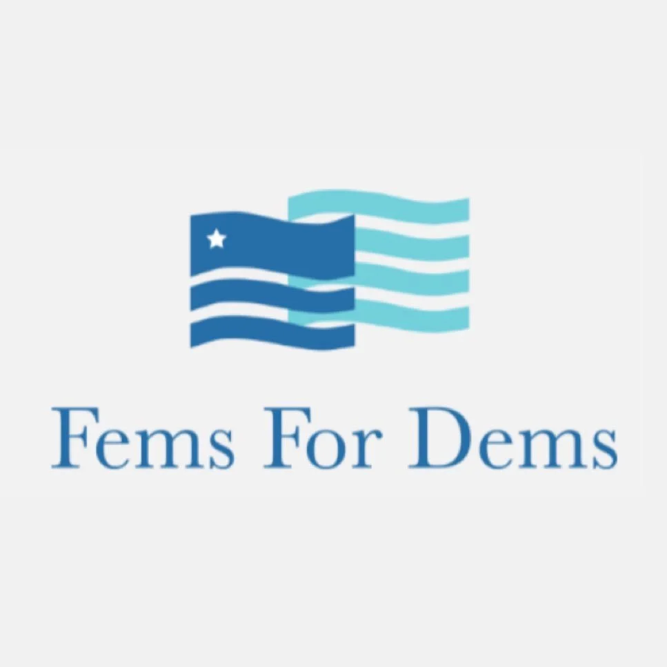 fems for dems.jpg
