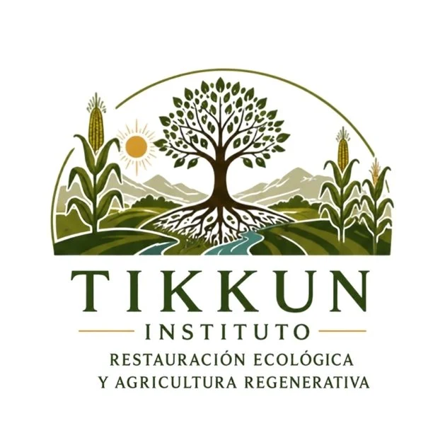 Instituto Tikkun