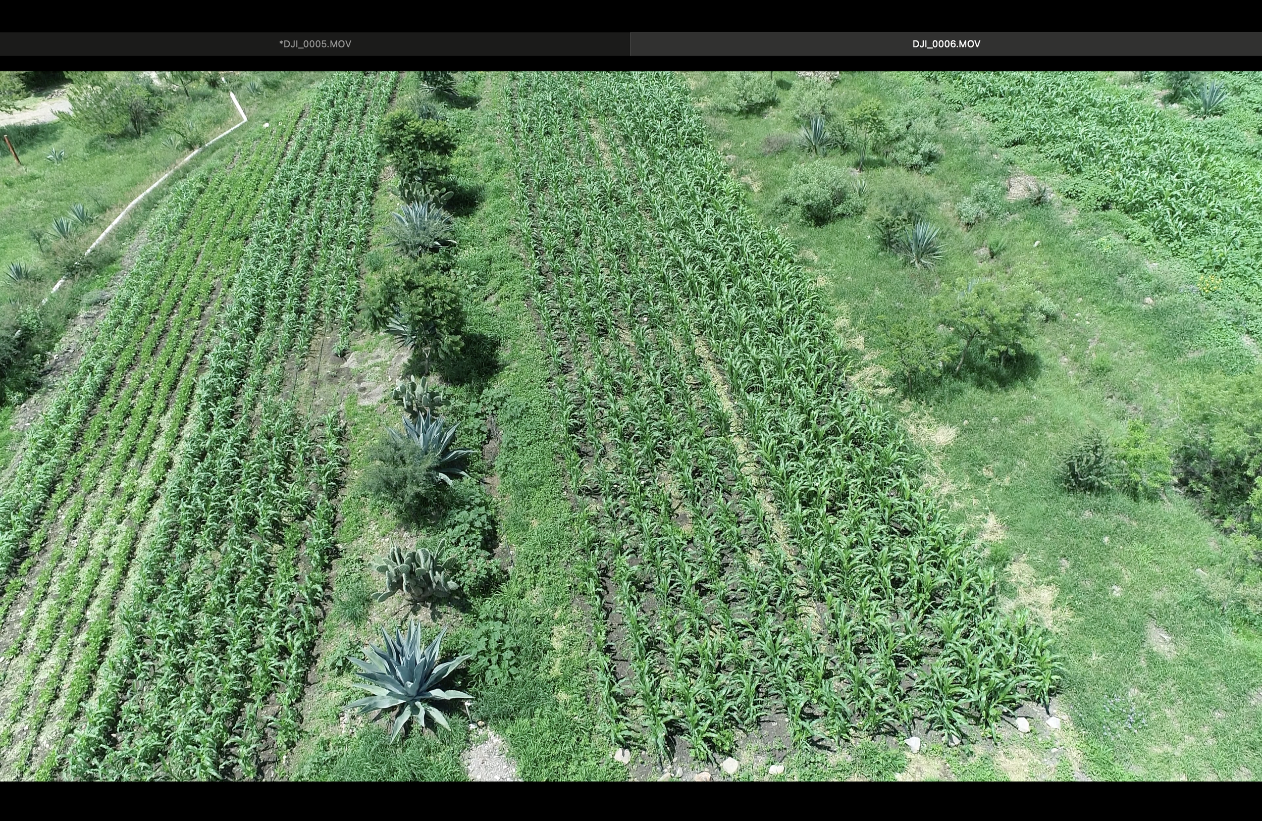 Screenshot 2026-07-13 at 3.26.46 p.m..png
