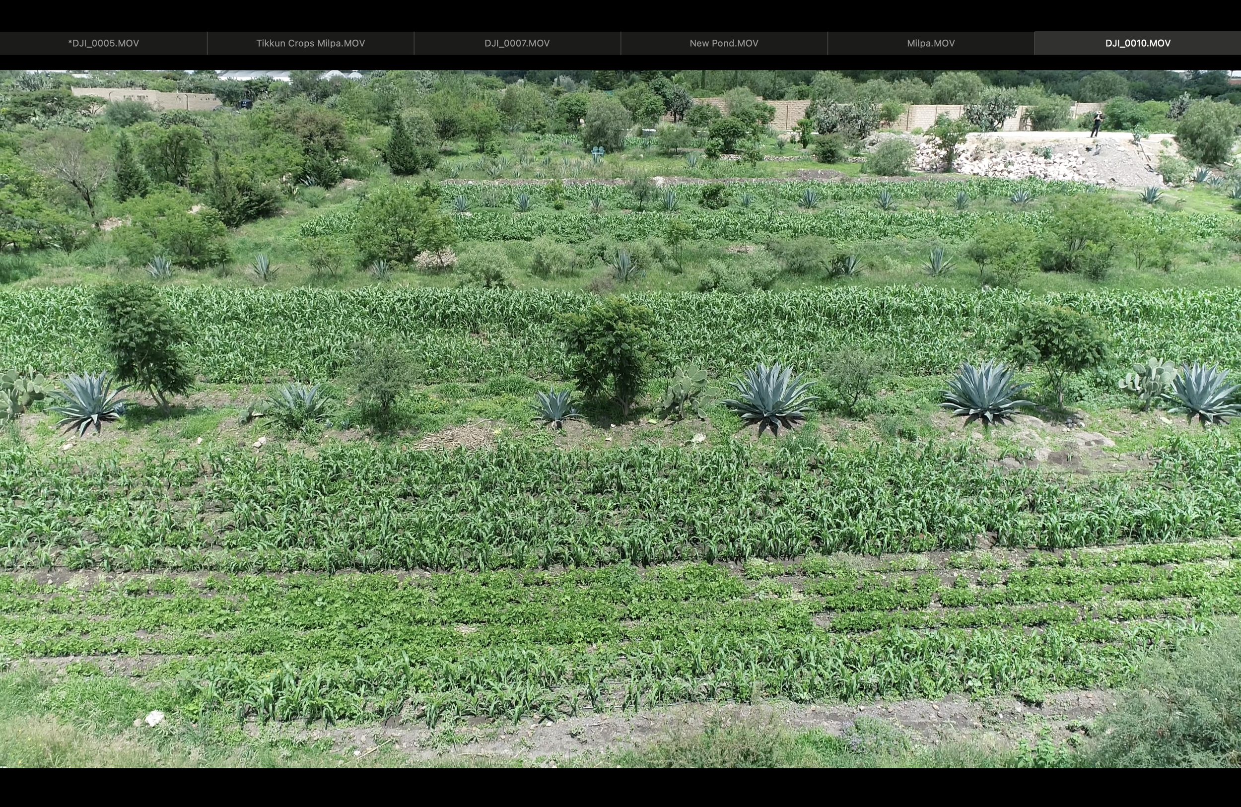 Screenshot 2026-07-13 at 3.31.40 p.m..png