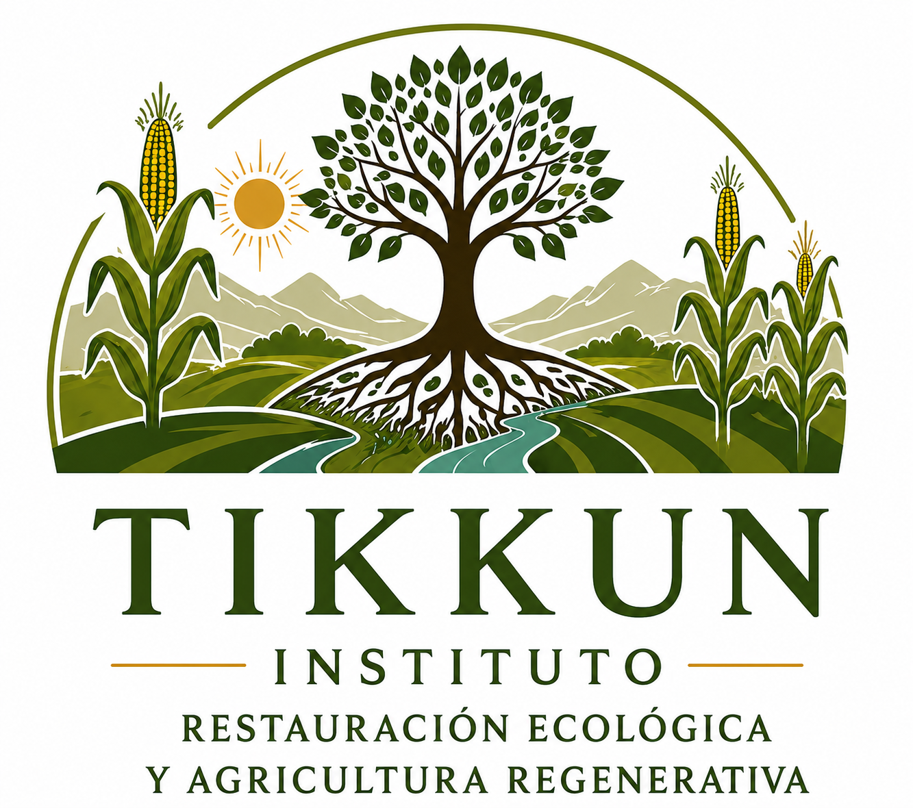 Instituto Tikkun