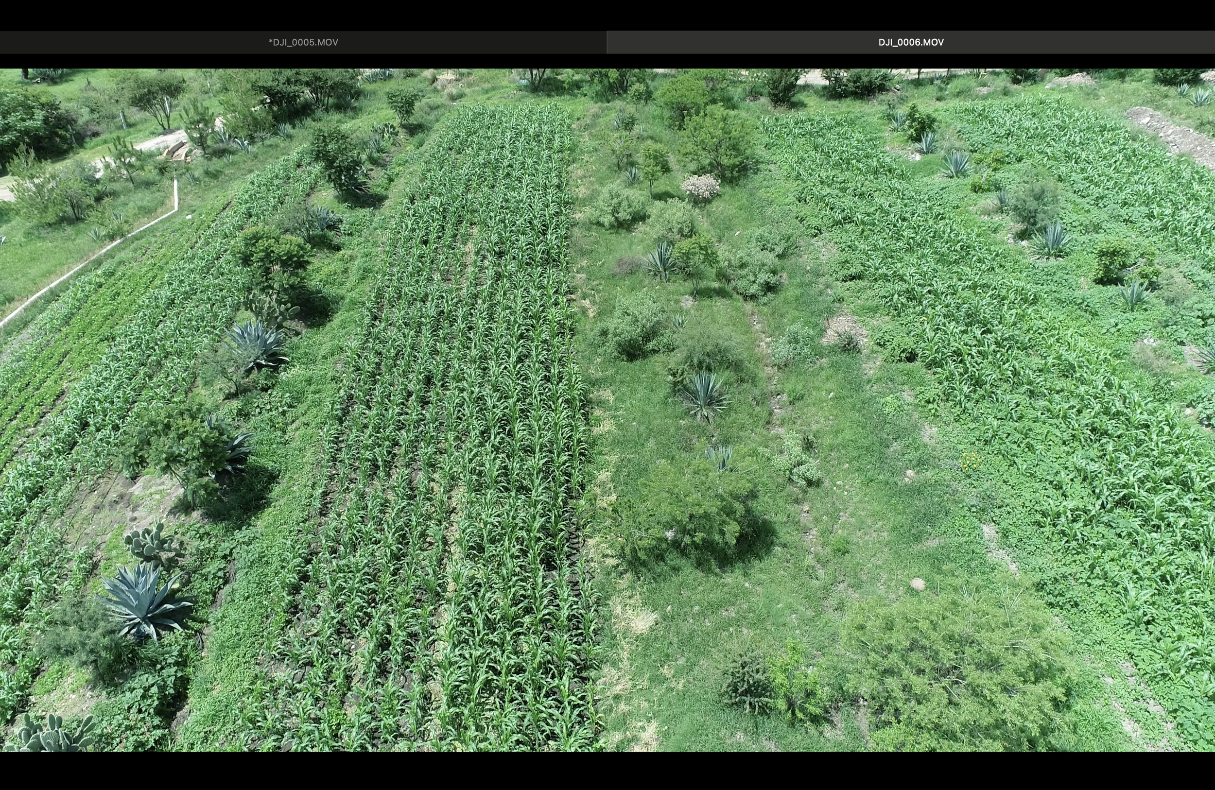Screenshot 2026-07-13 at 3.26.21 p.m..png