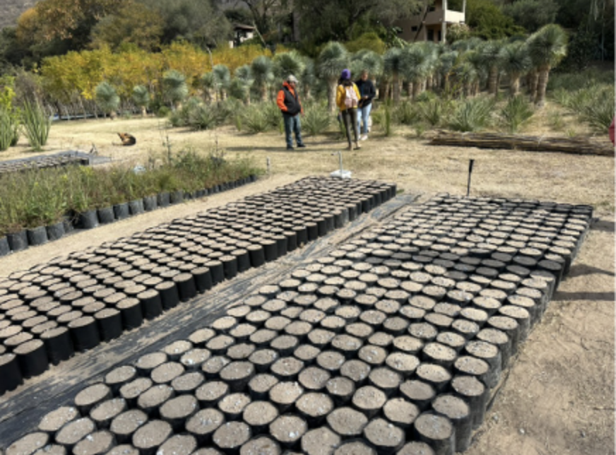 Screenshot 2026-03-29 at 11.03.49 a.m..png