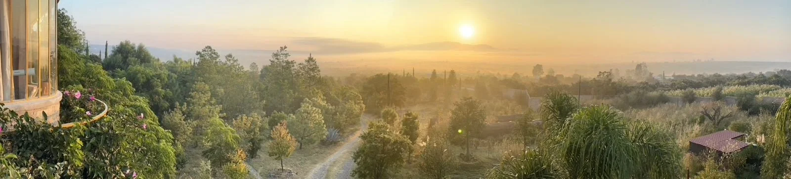 0f3e4168-76ed-4583-829c-f4f522aa7d97.jpeg